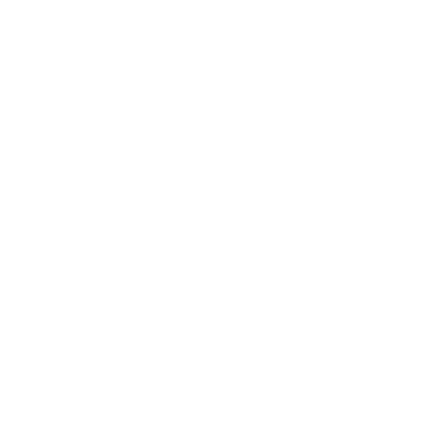 The 5th Ave Lab