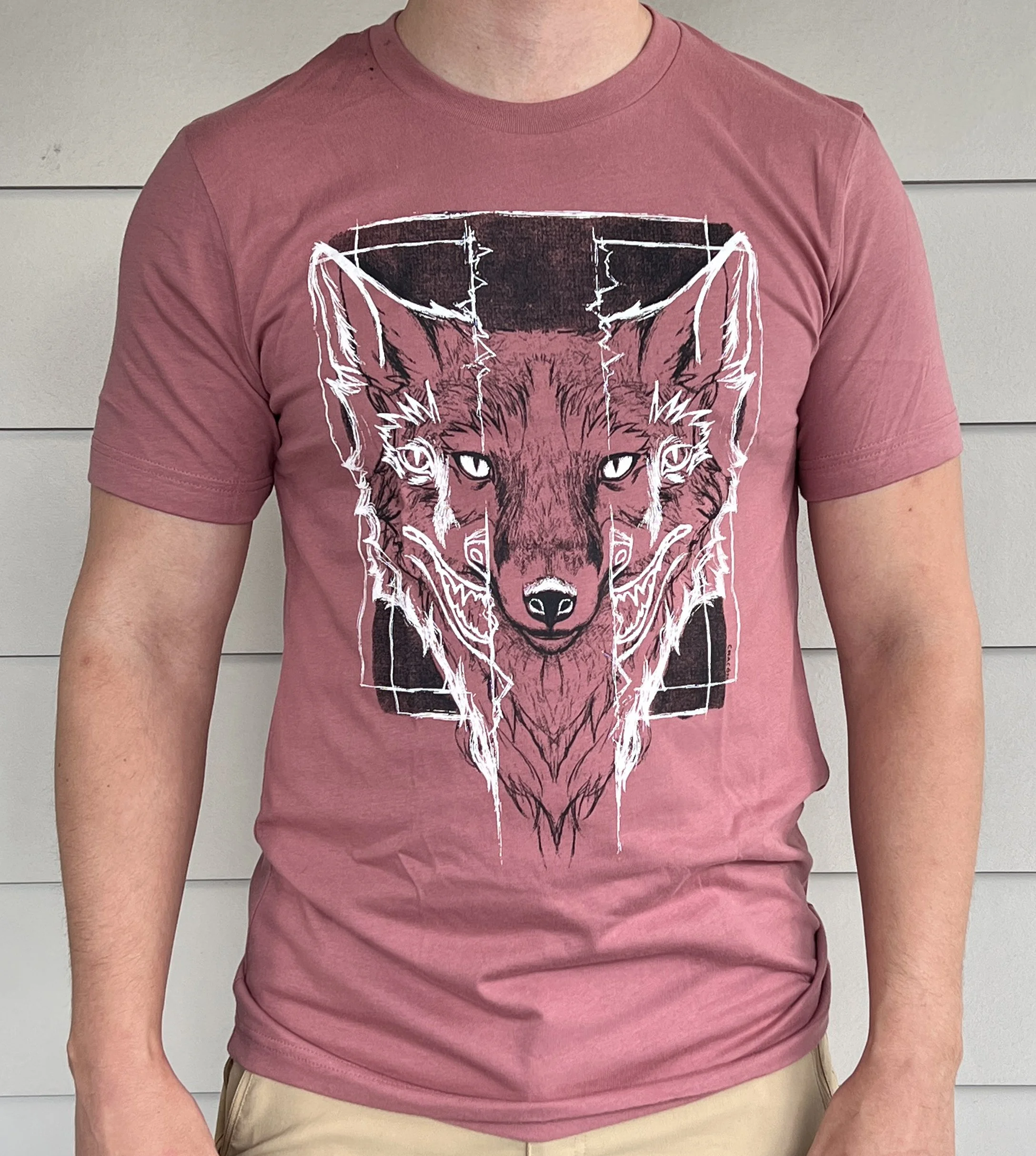 foxs2.jpg