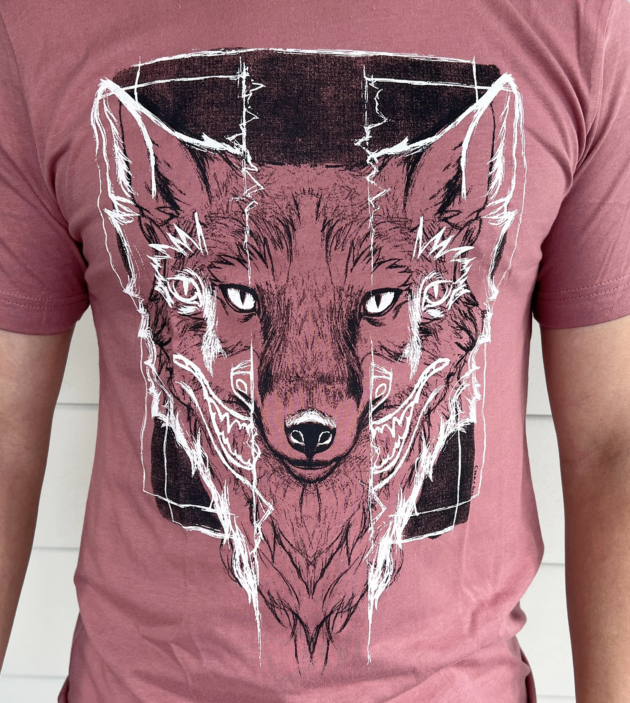 foxs1.jpg