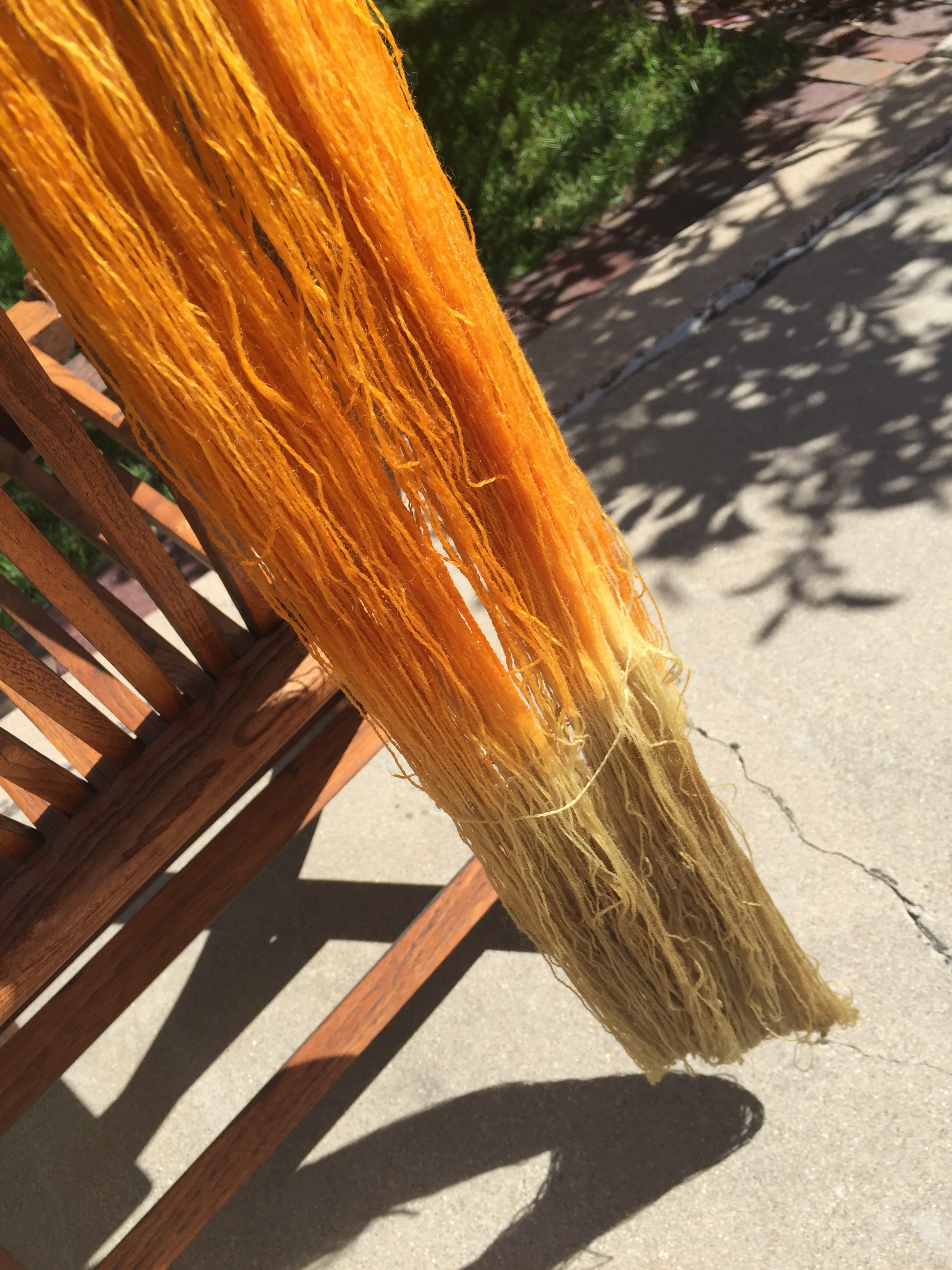 Dyeing with flowers and kitchen scraps!