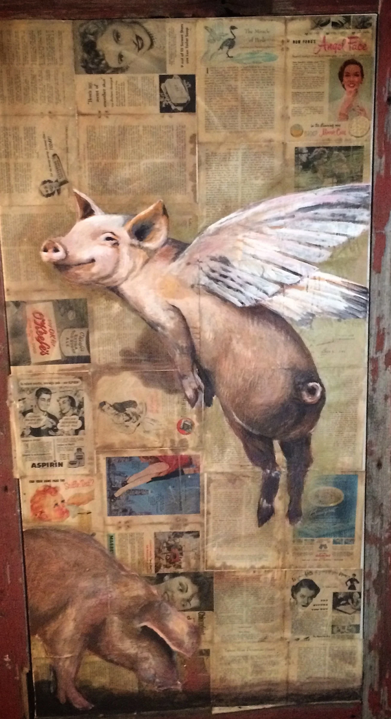 pigs can fly...