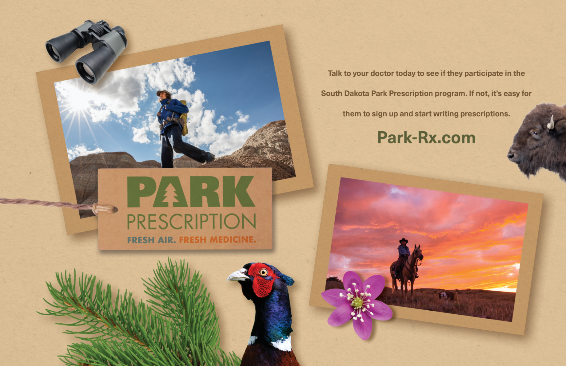 park3.png
