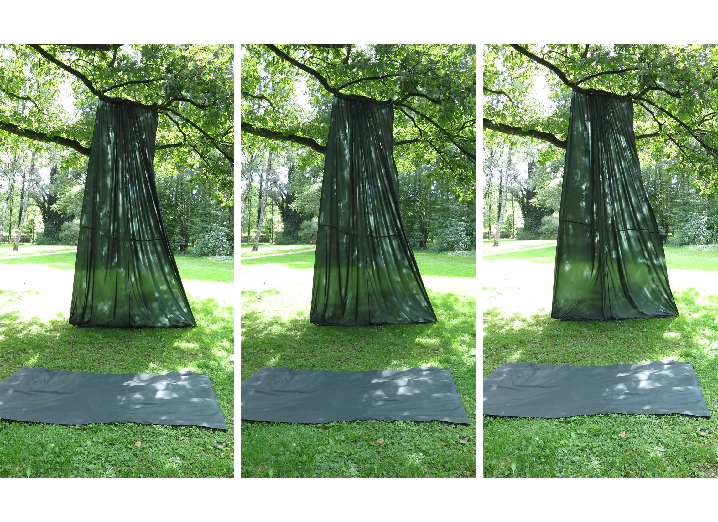 Surface in Green_Web7.jpg