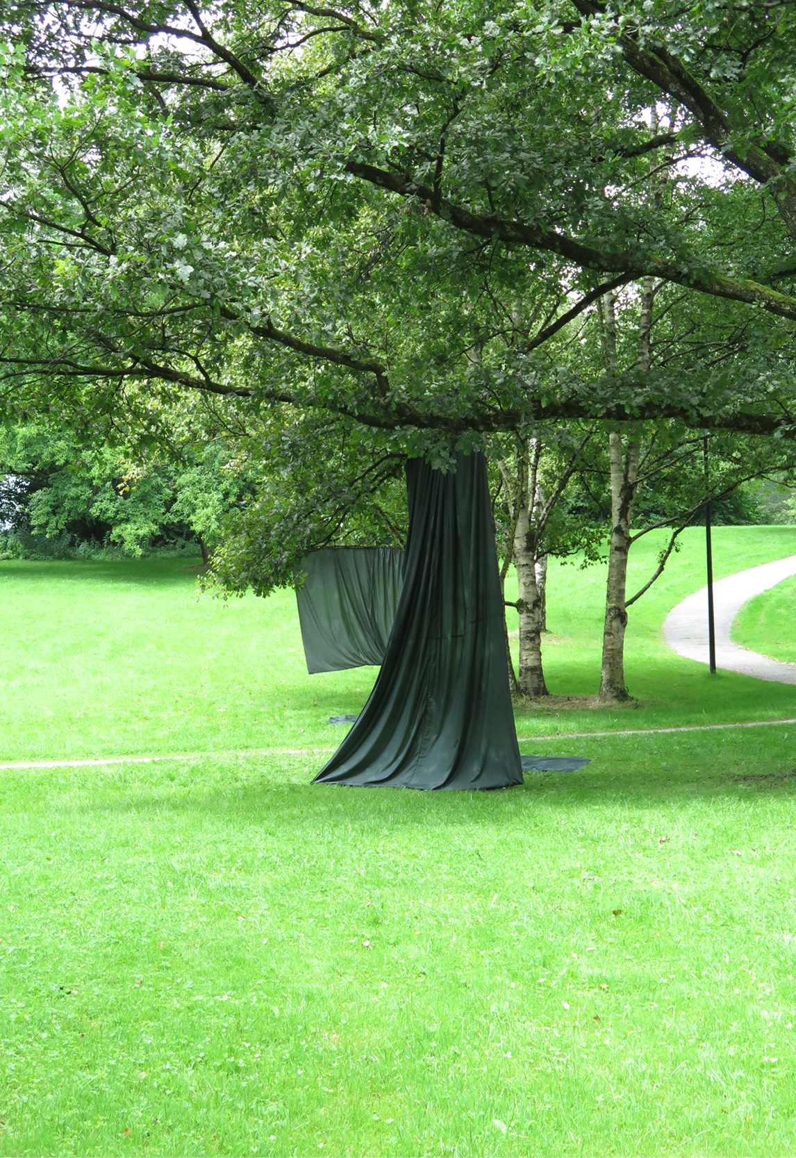 Surface in Green_Web11.jpg