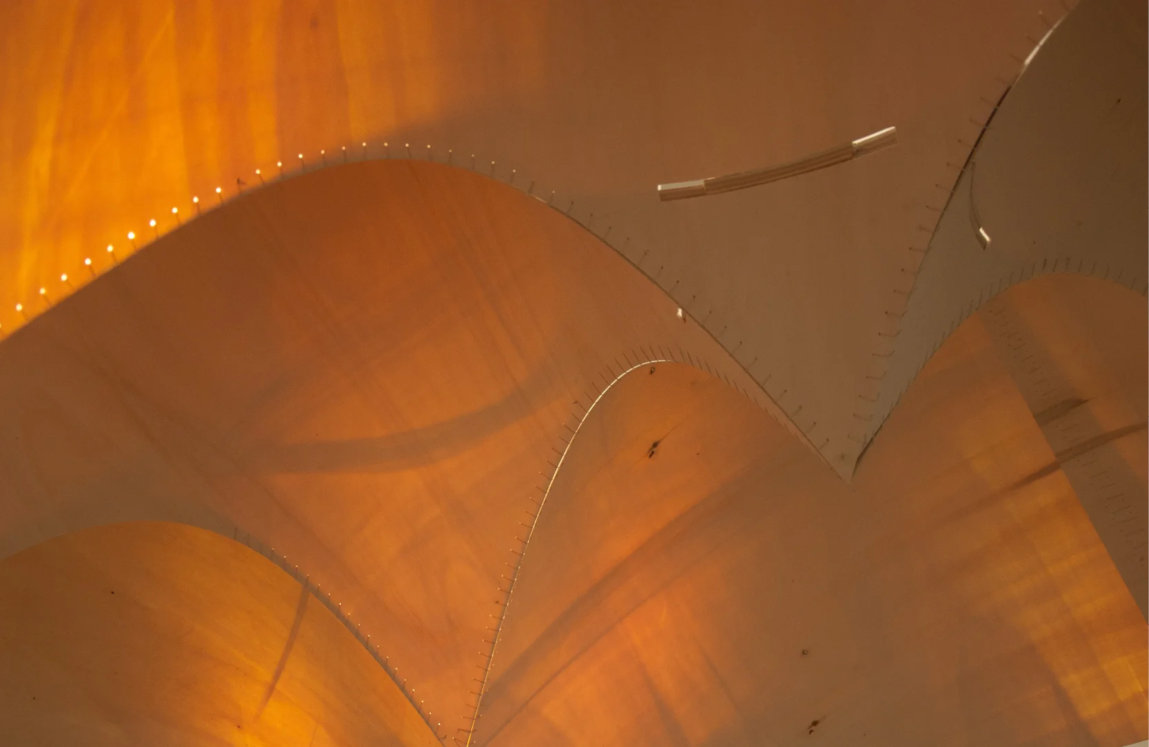 Tele Cone_Web16.jpg