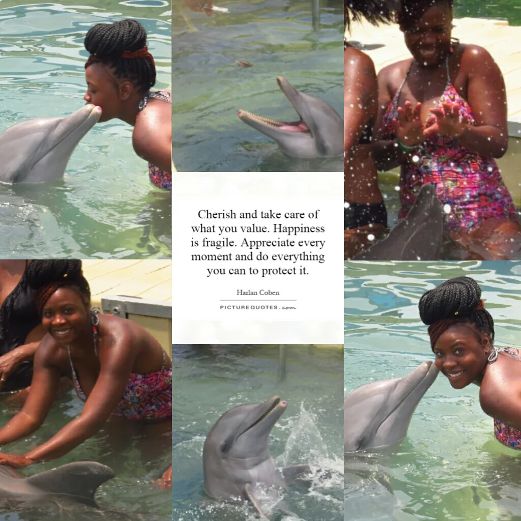 Dolphins.jpg