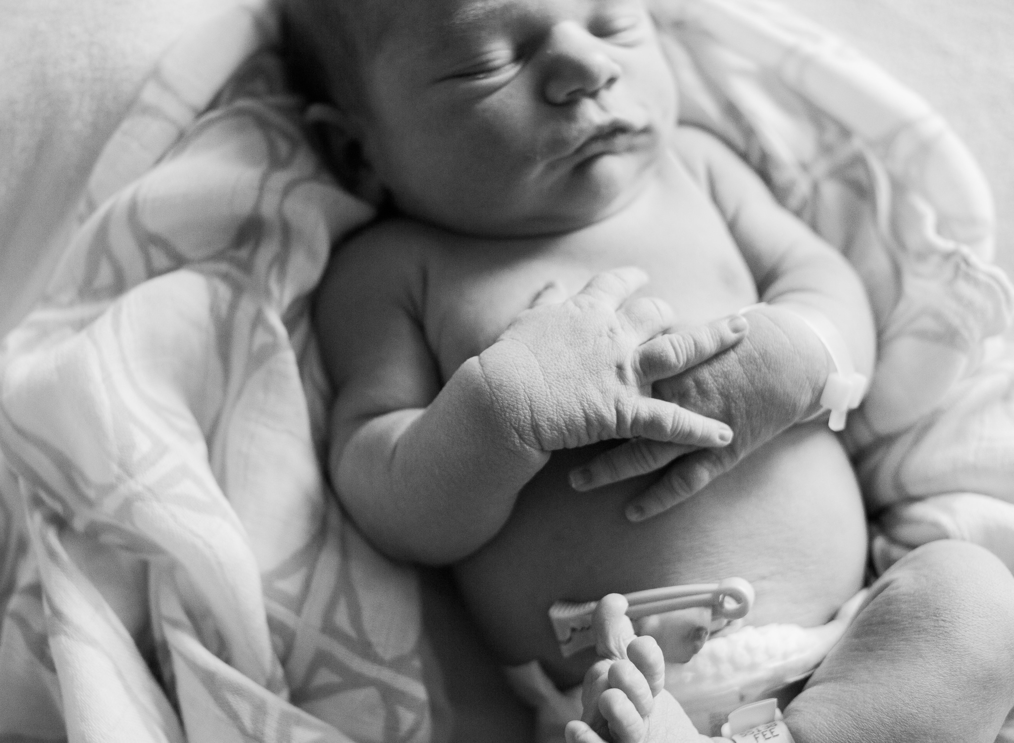 Isn't he PERFECT?