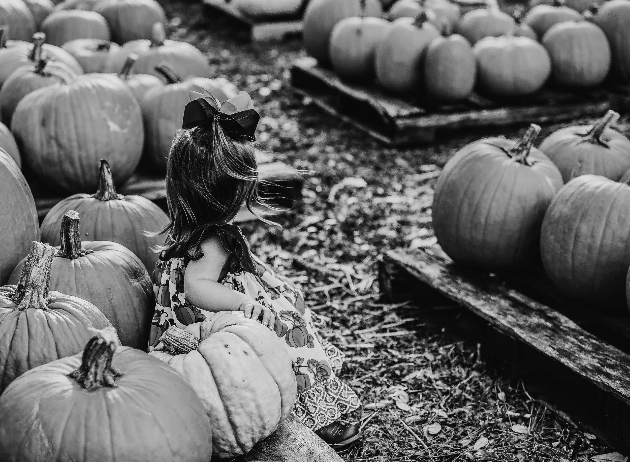 pumpkin bw-1.jpg