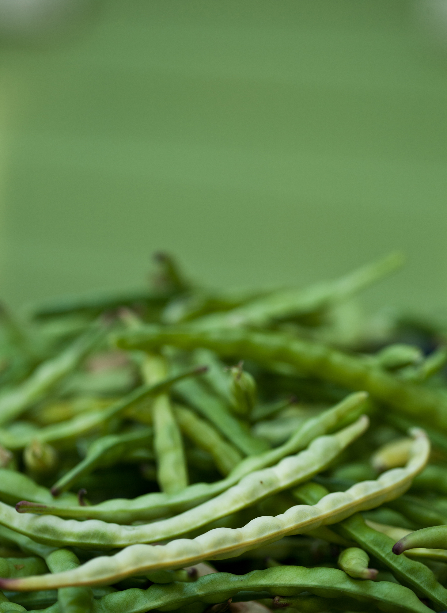 green-beans-stock-photo.jpg