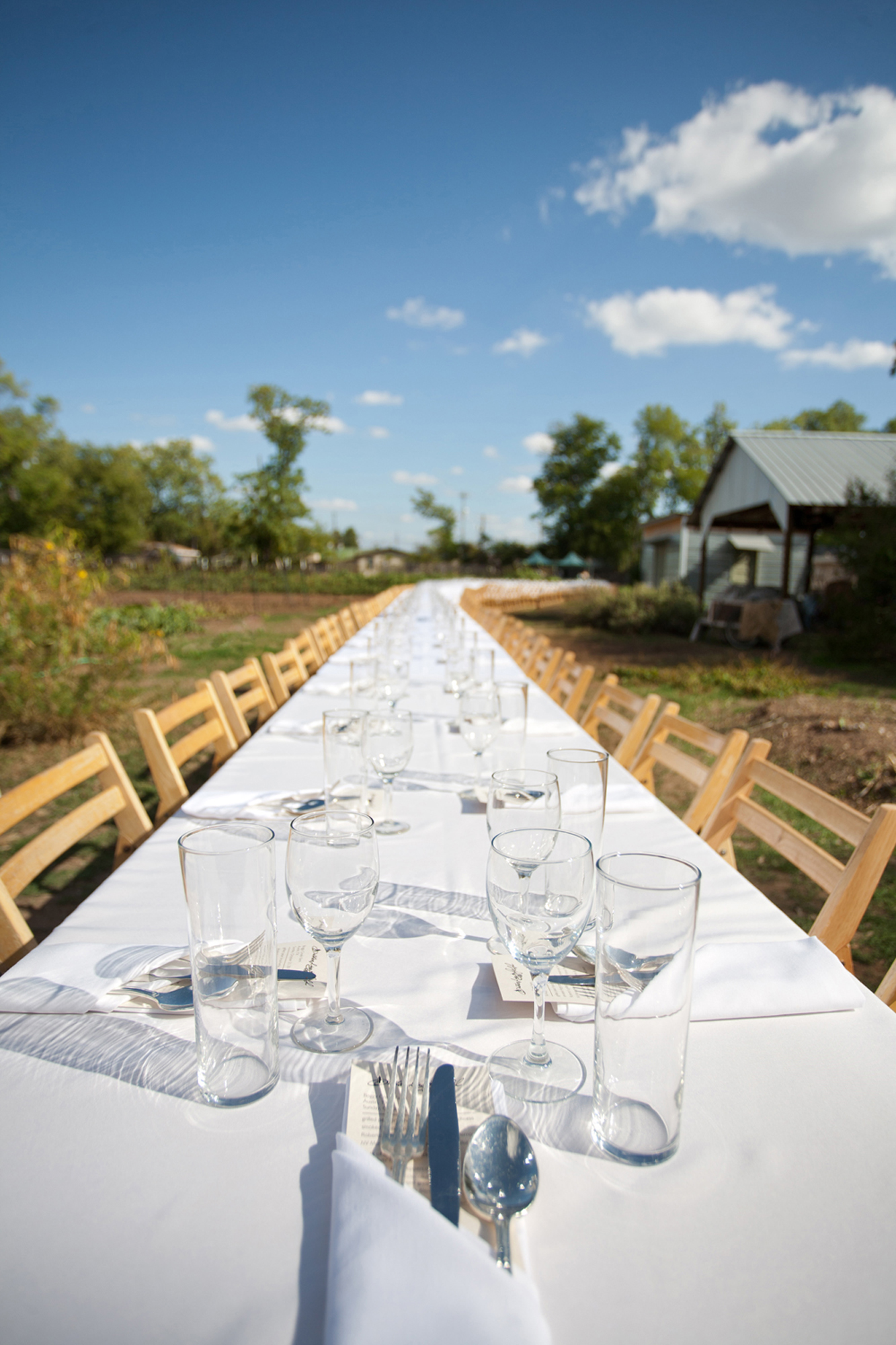 outstanding-in-the-field-boggy-creek.jpg