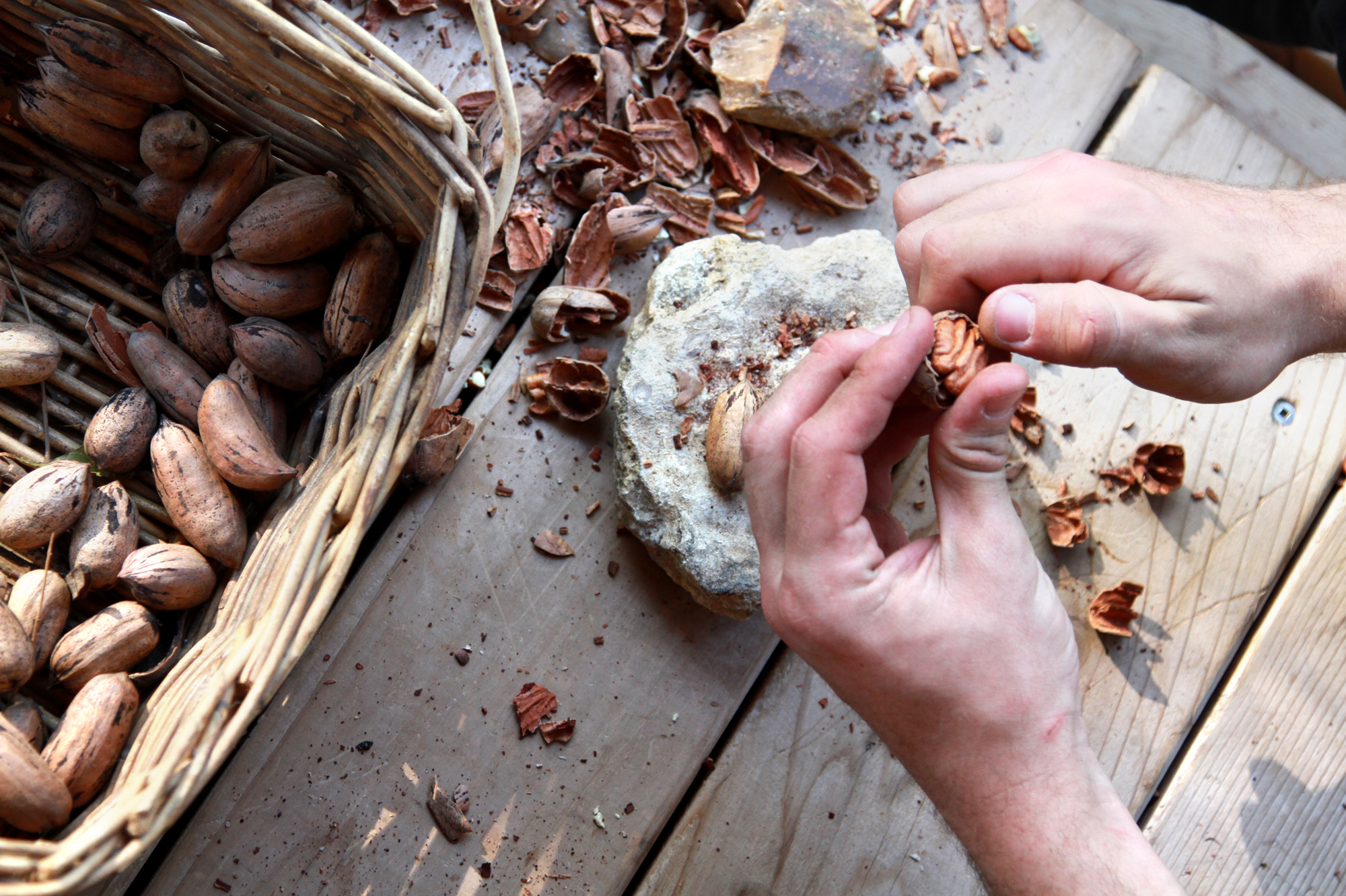 texas-pecans-lifestyle-photo.jpg