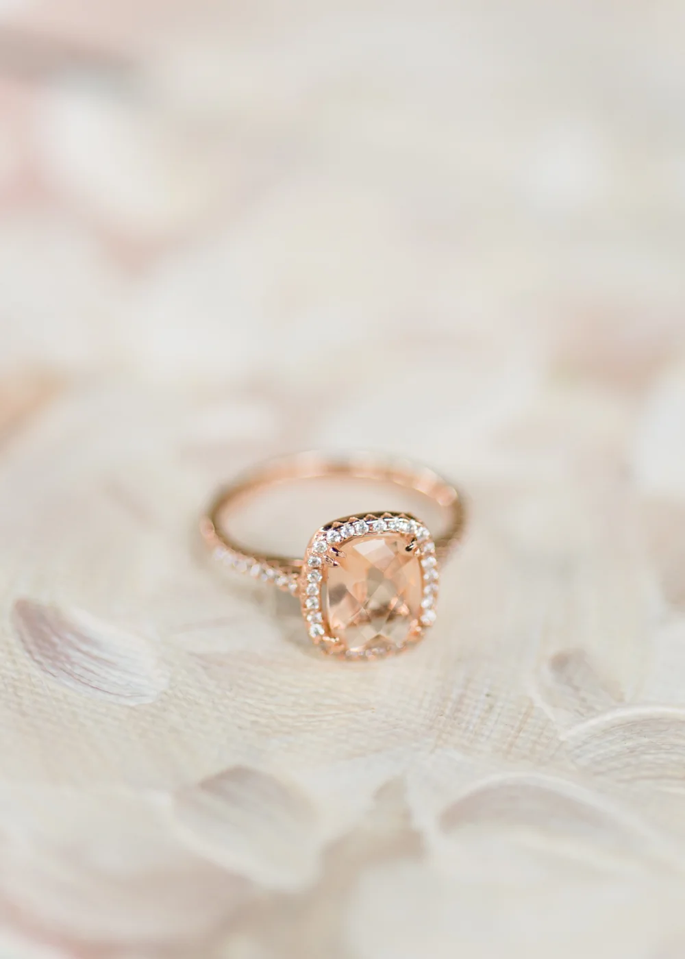 IsabelleSwedenGardens-ErikaAlvarengaPhotography-16.jpg