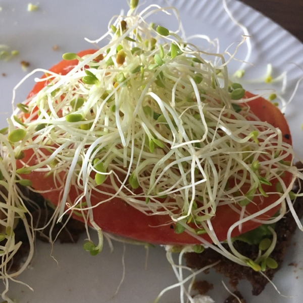 Sprouted Batter Bread toast with avocado, heirloom tomato, goat cheese and sprouts!