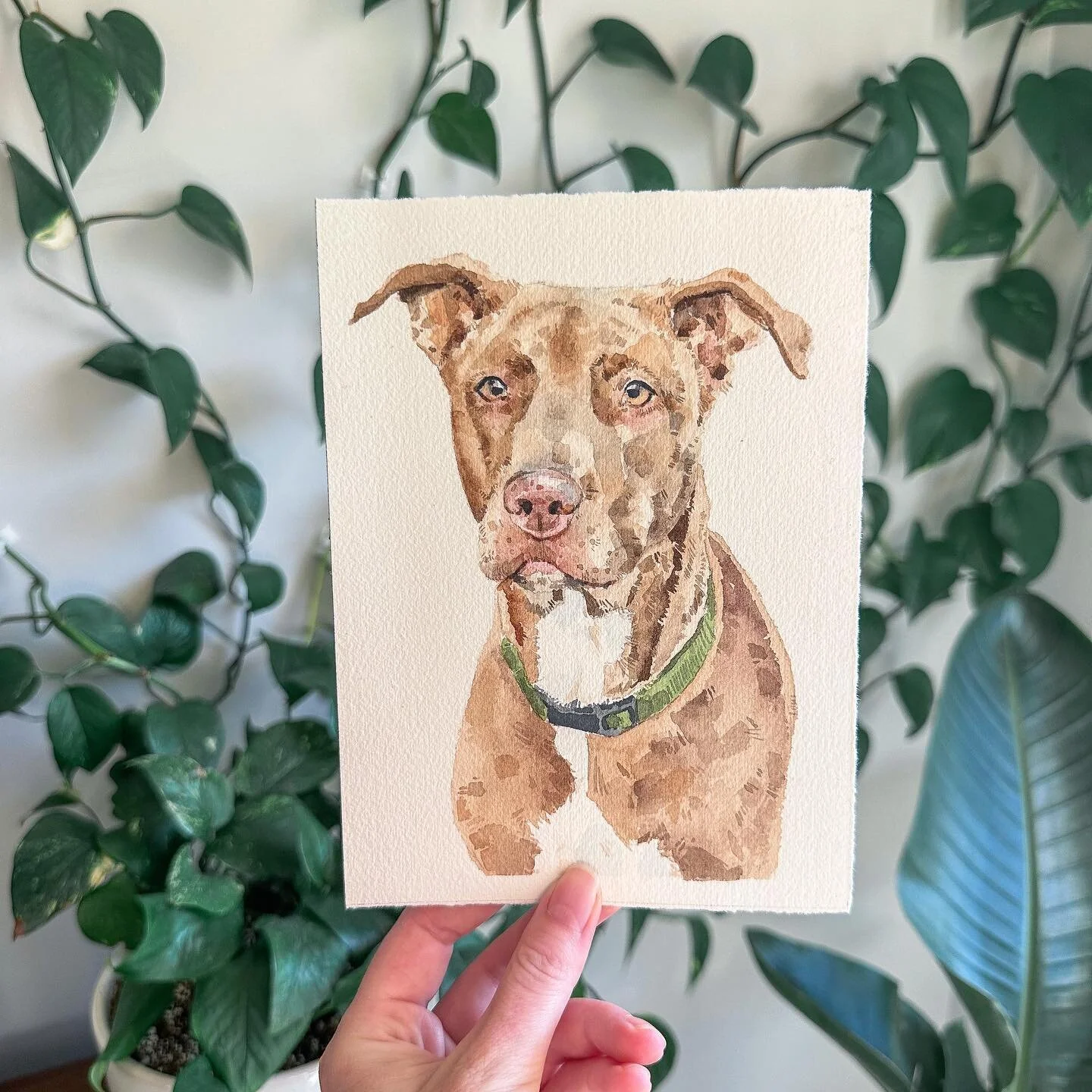 🐾🌿

-
-

#art #watercolorpainting #watercolor #watercolorart #dogportrait #paintingportrait #watercolordog #petportrait