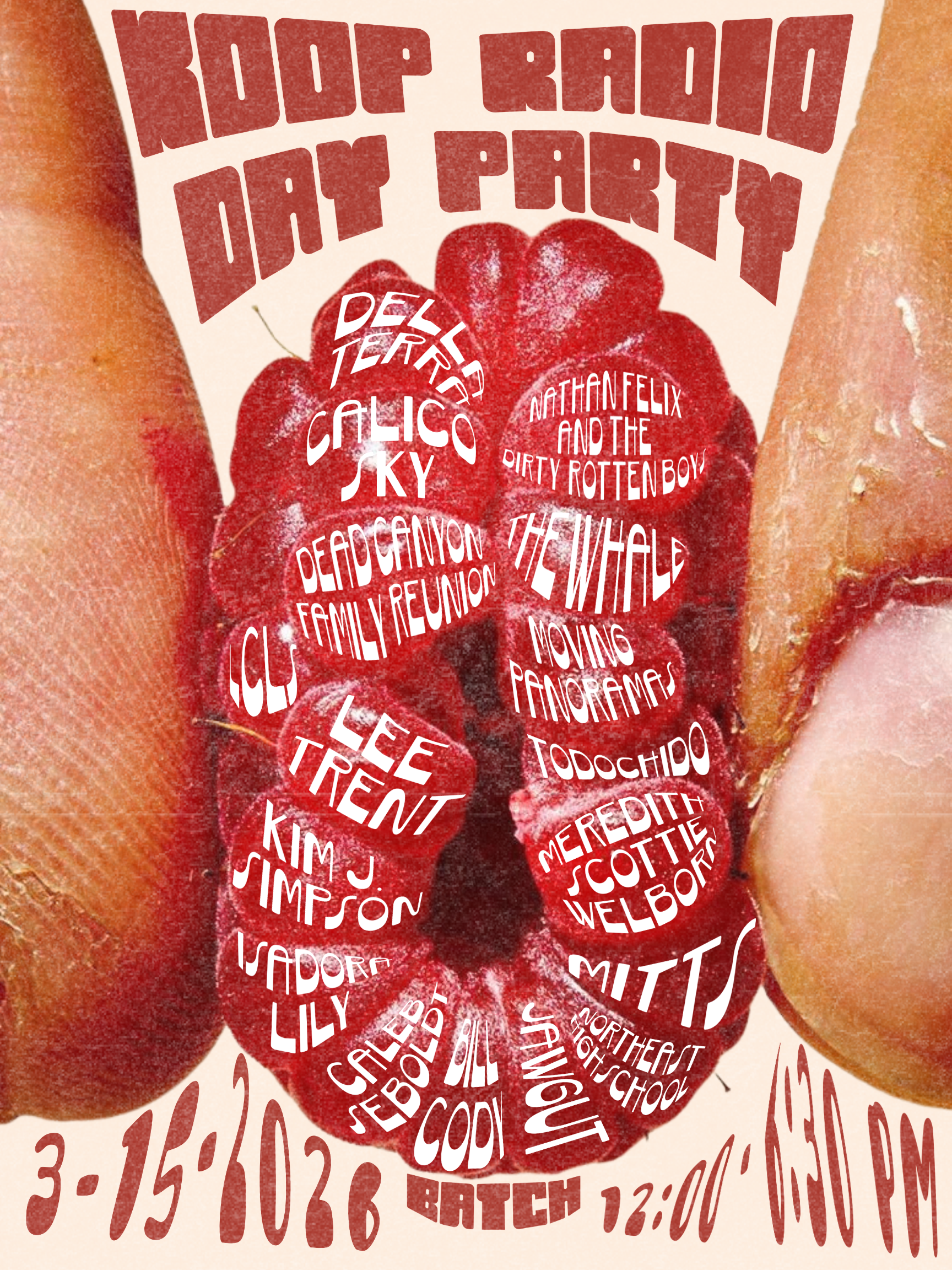 KOOP Radio Day Party