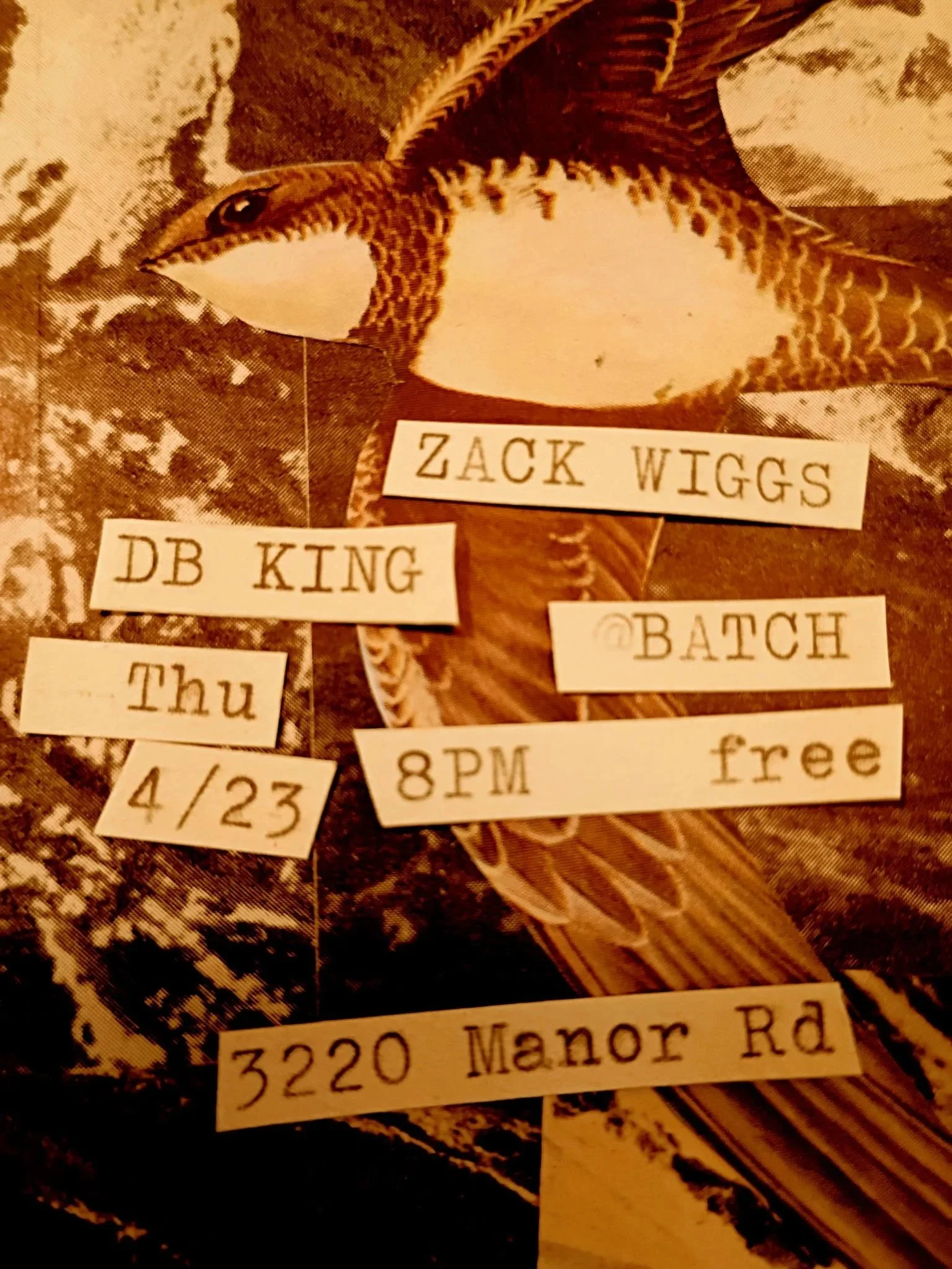 DB King / Zack Wiggs