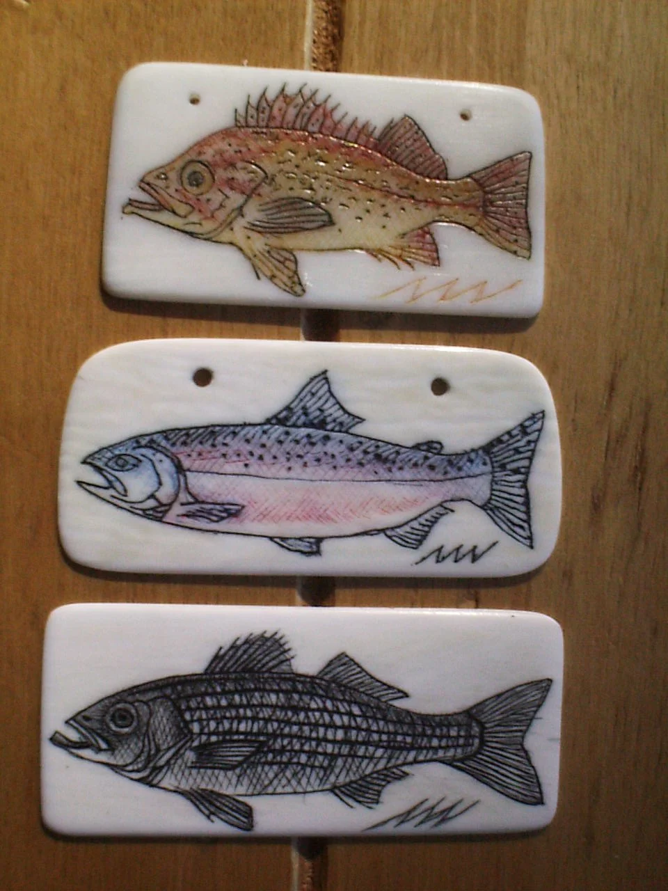 scrimshaw piano keys Rockfish, Salmon, Stiper