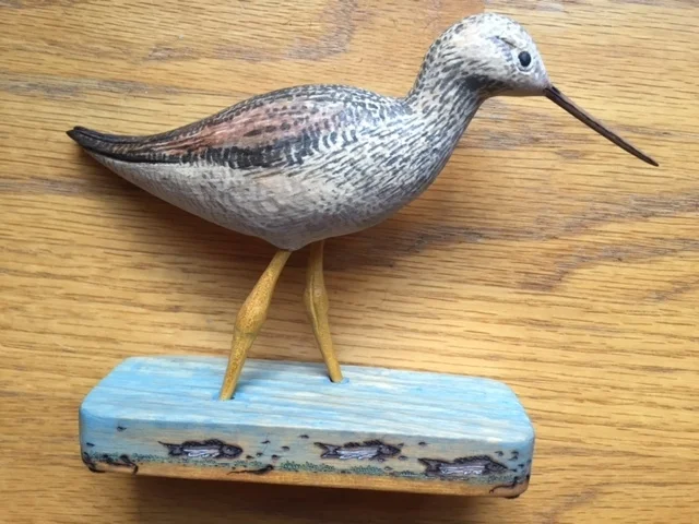 Yellow Legged Sandpiper