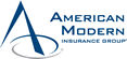 american-modern-logo.v1412393464.gif