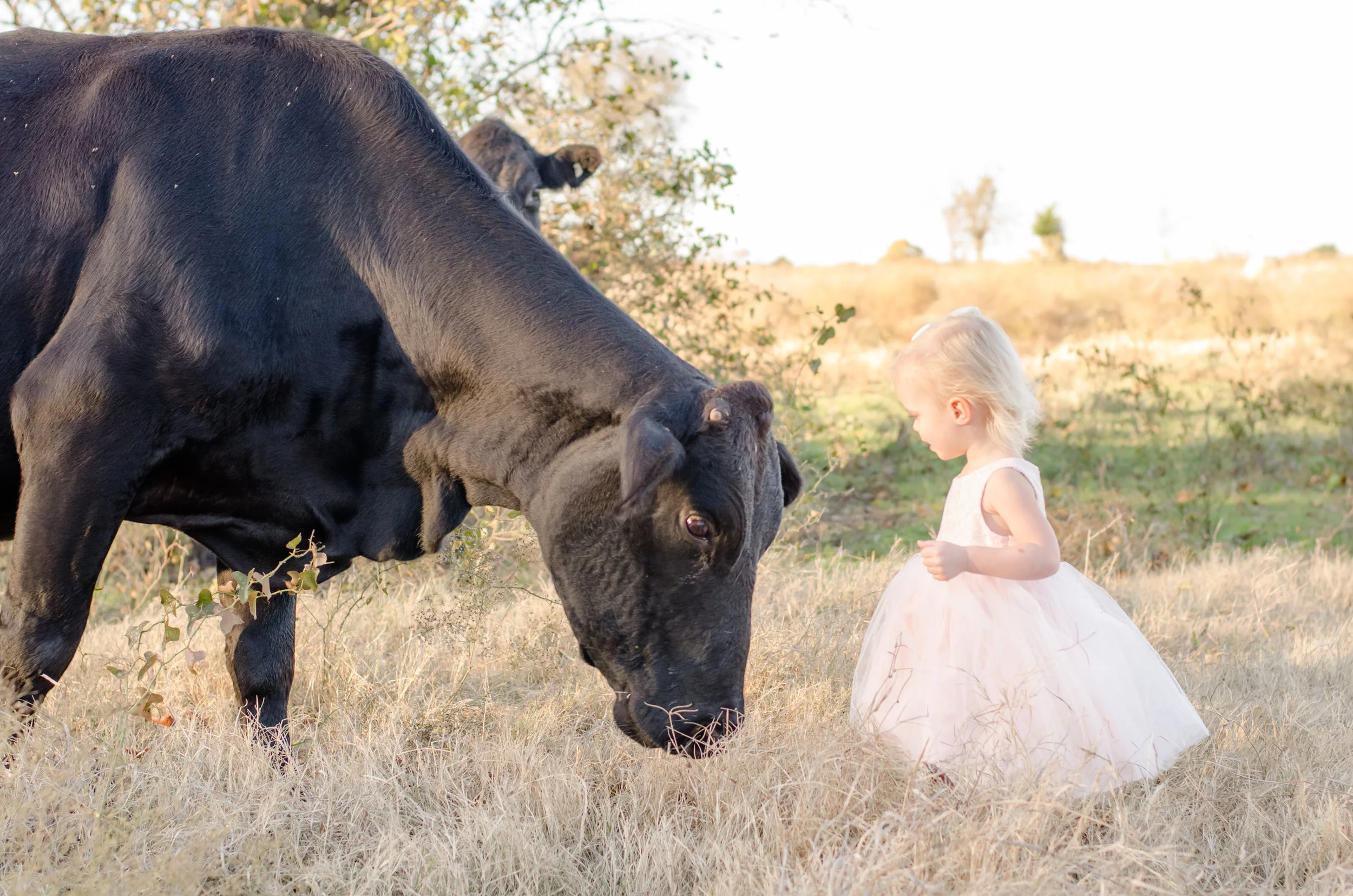 Landon Schneider Photography-4039.jpg
