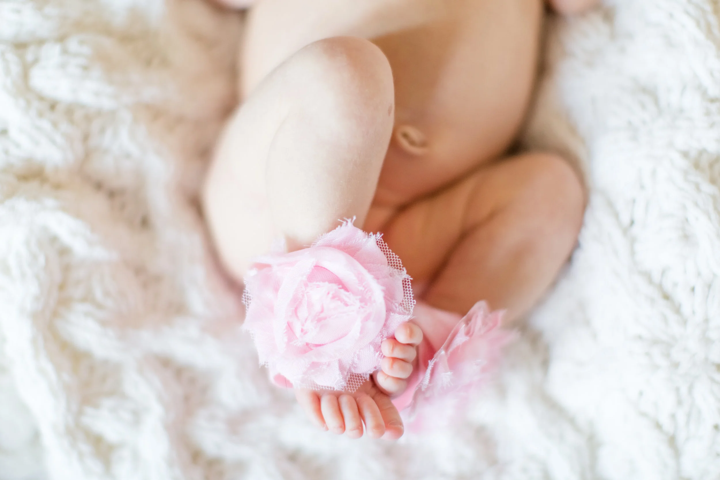 Landon Schneider Photography-1158.jpg