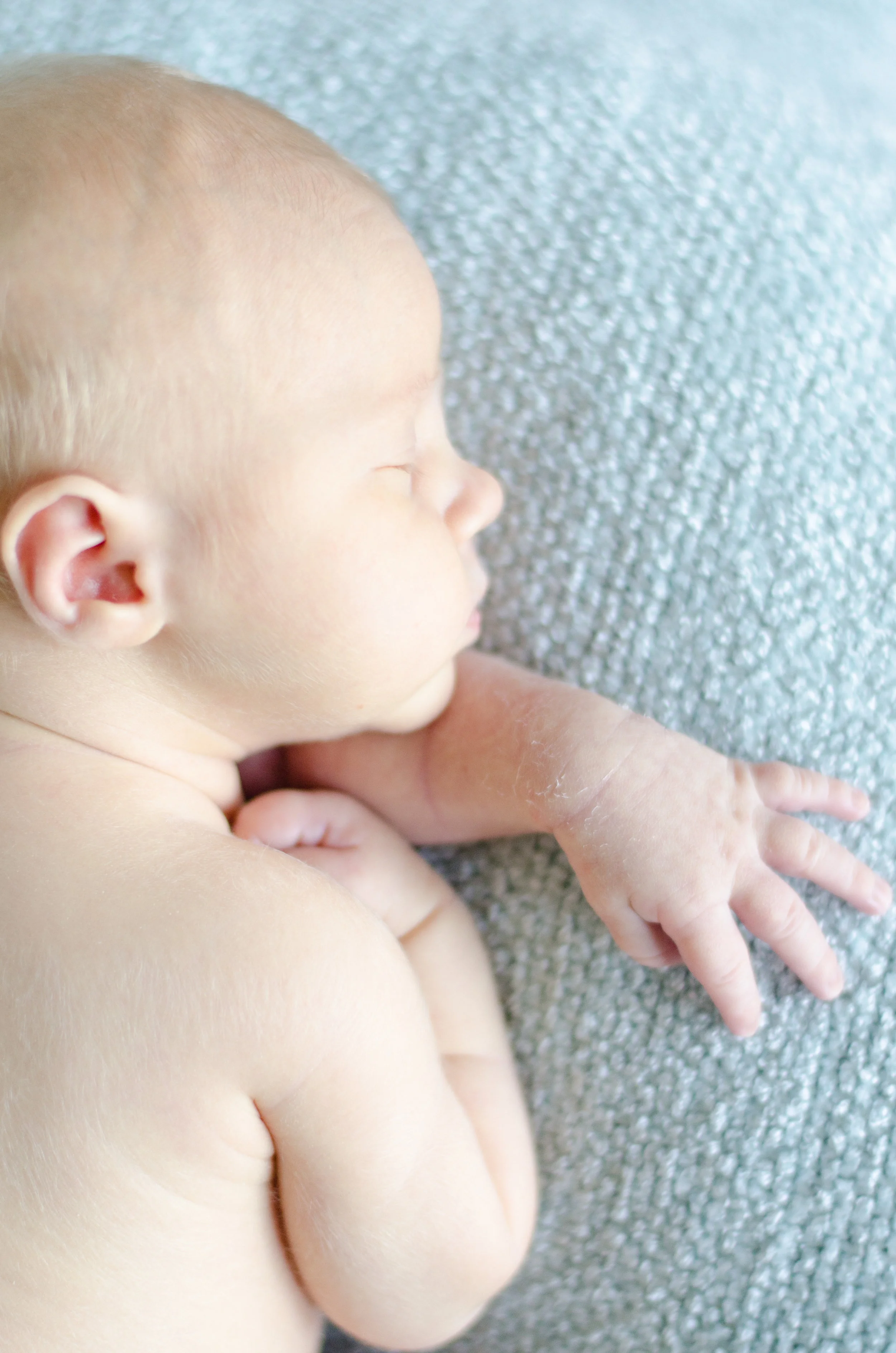 Landon Schneider Photography-0975.jpg