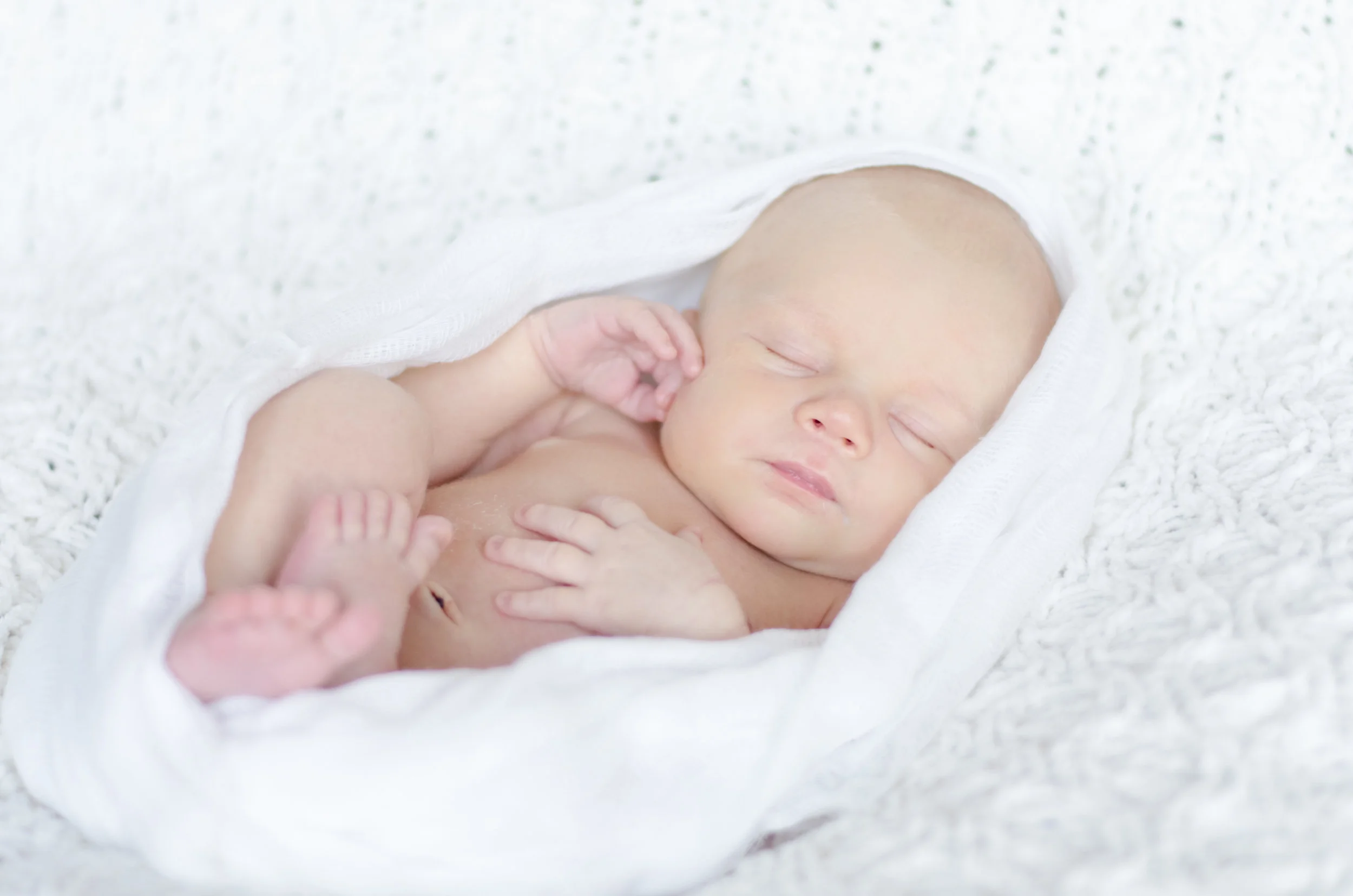Landon Schneider Photography-1031.jpg