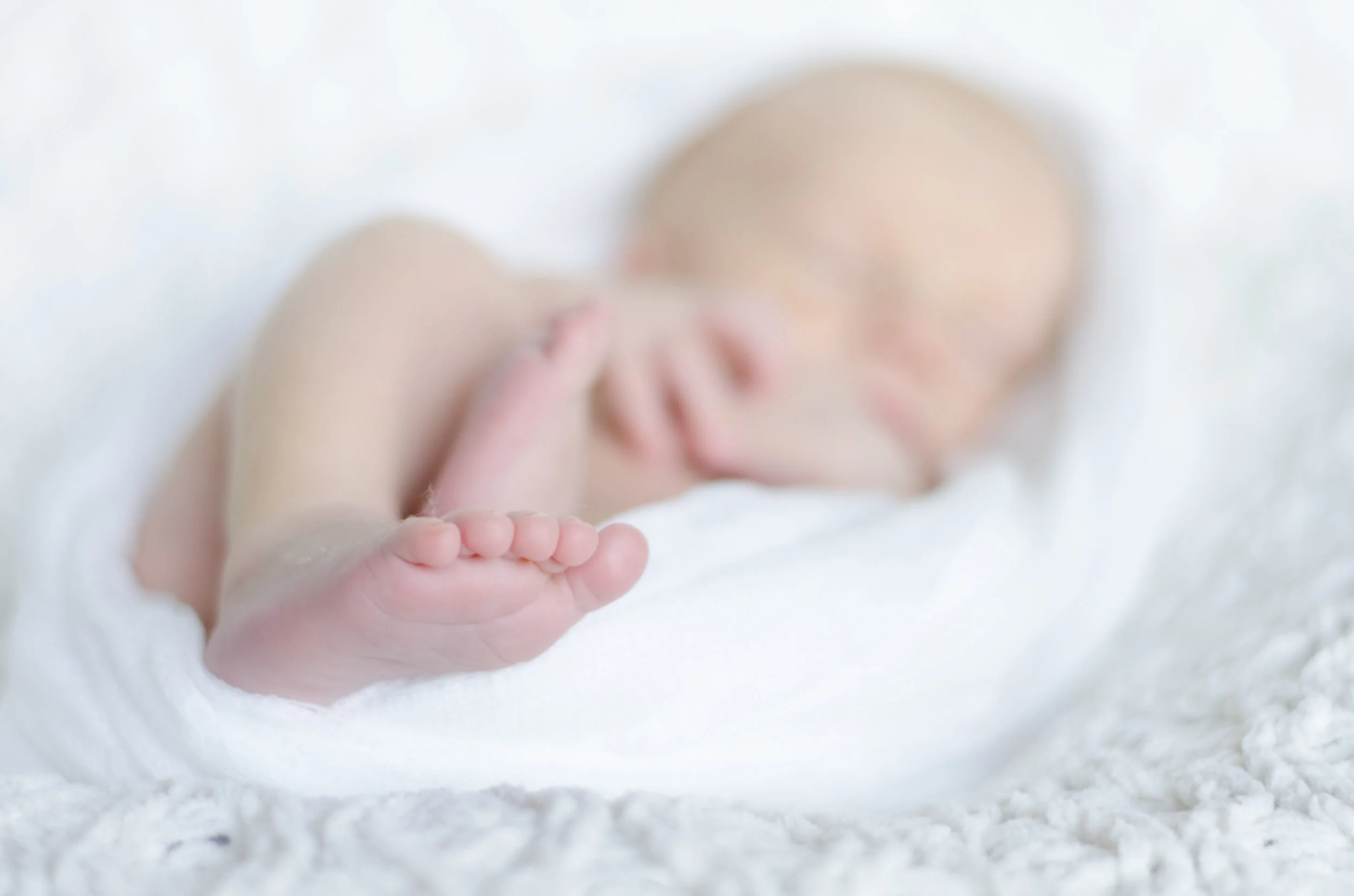Landon Schneider Photography-1082.jpg