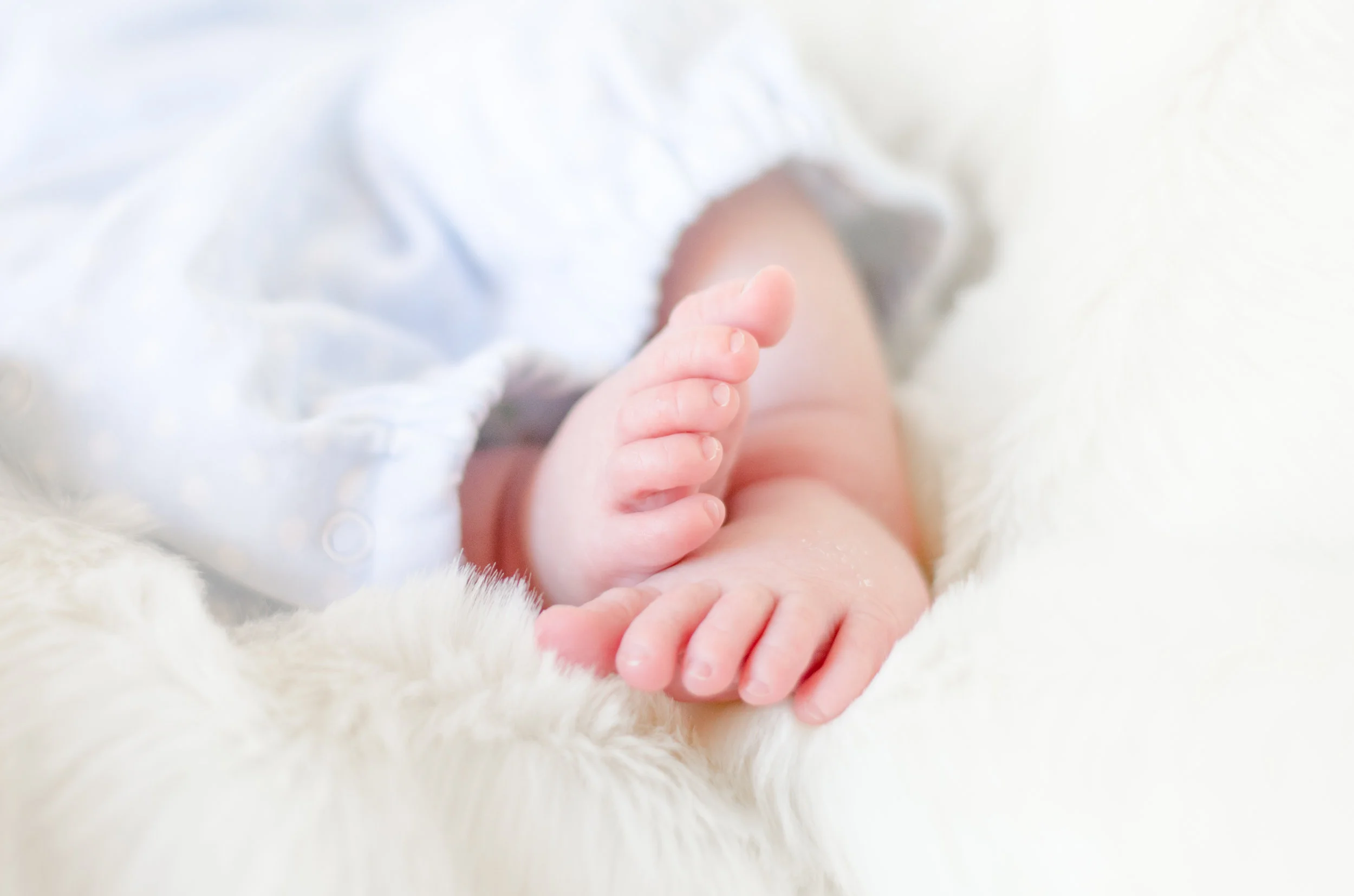 Landon Schneider Photography-1772.jpg