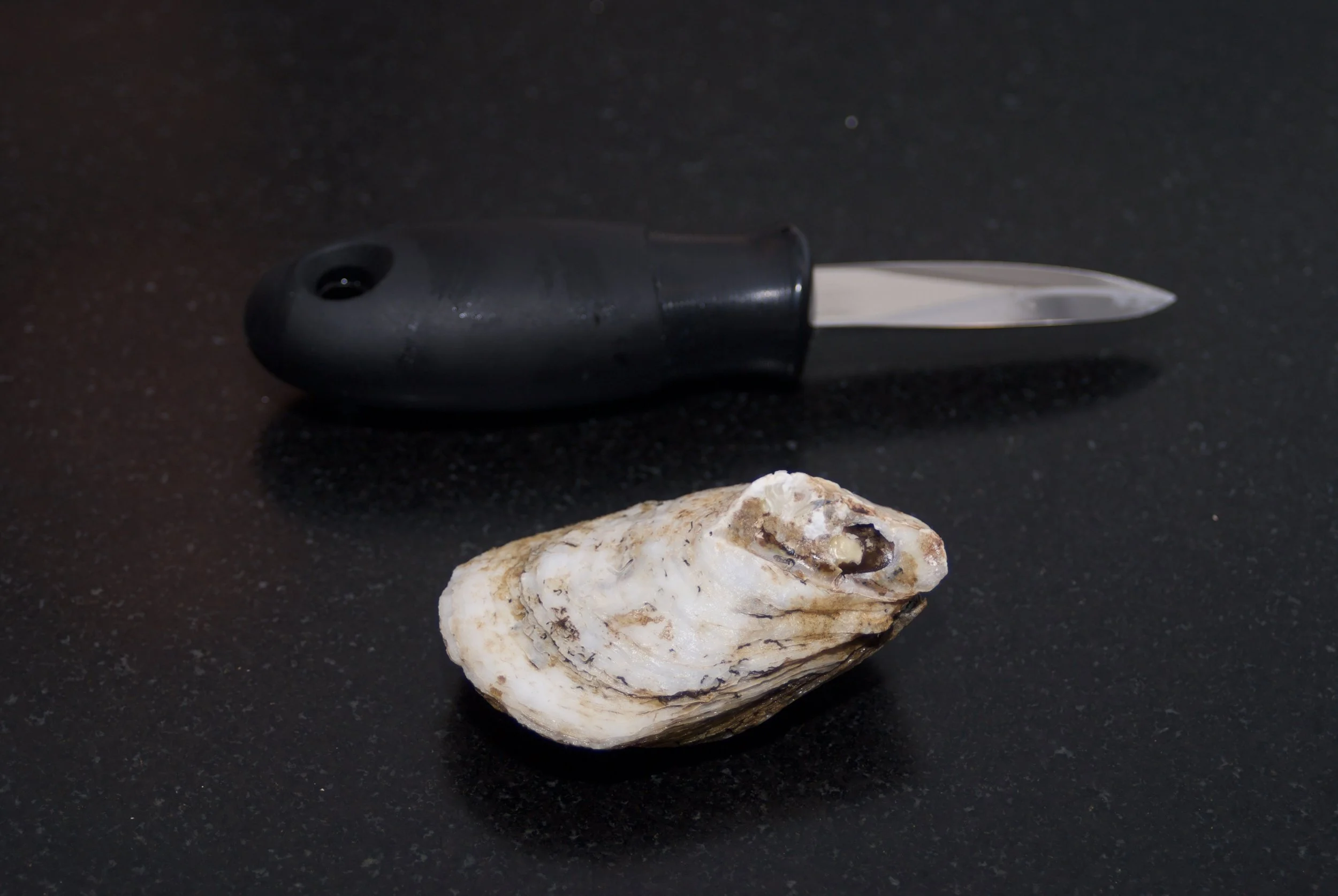 Tool of the trade - this oyster knife was $8 on Amazon and worked just fine, although I've seen way more expensive brands. The oysters here are Blue Points from Long Island and I was able to get them at my local fish market for $1/oyster. You're als…