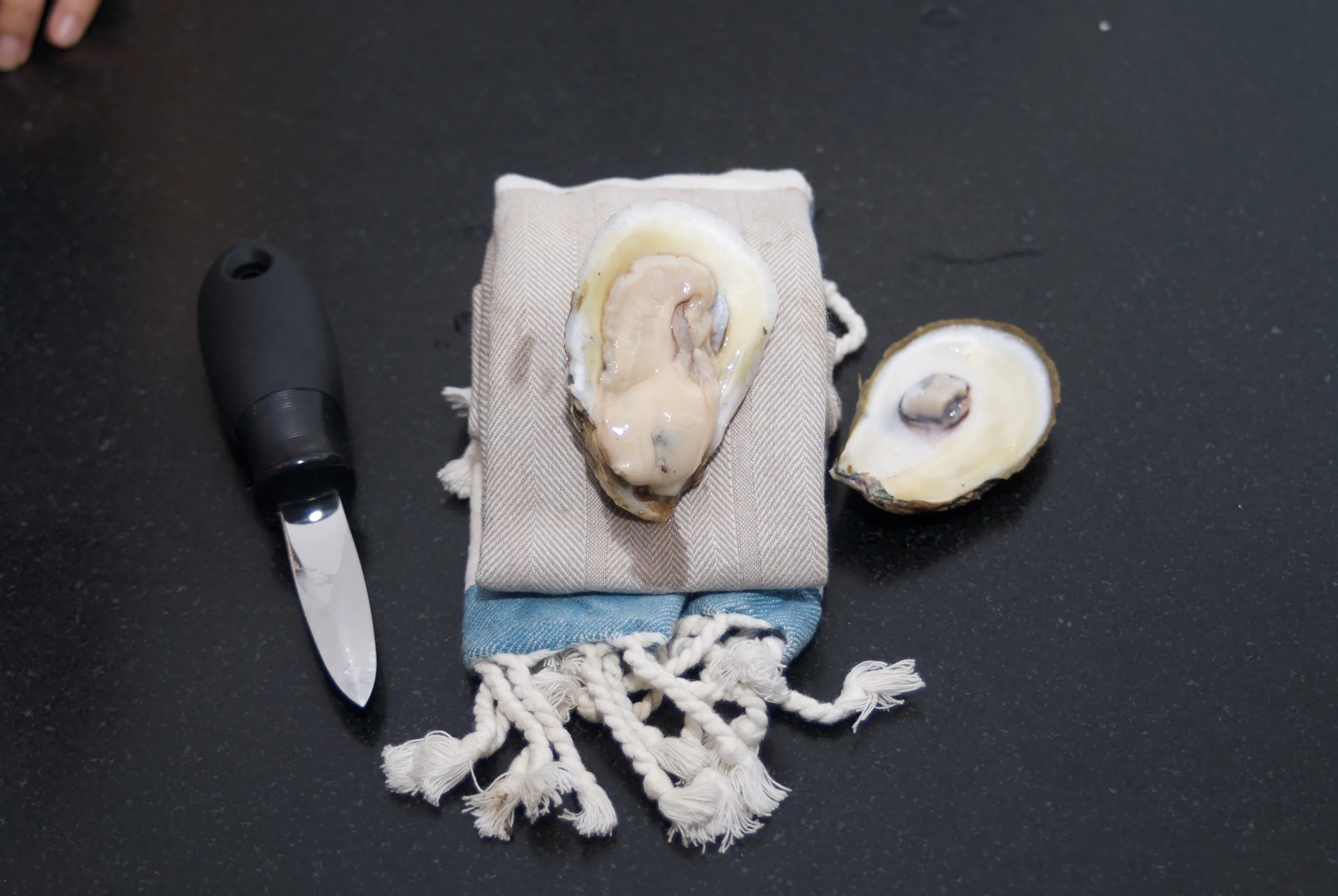 You're done! Eat as is or use one of the oyster topper recipes below!