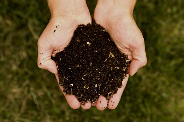 Volunteer Day at Red Hook Compost