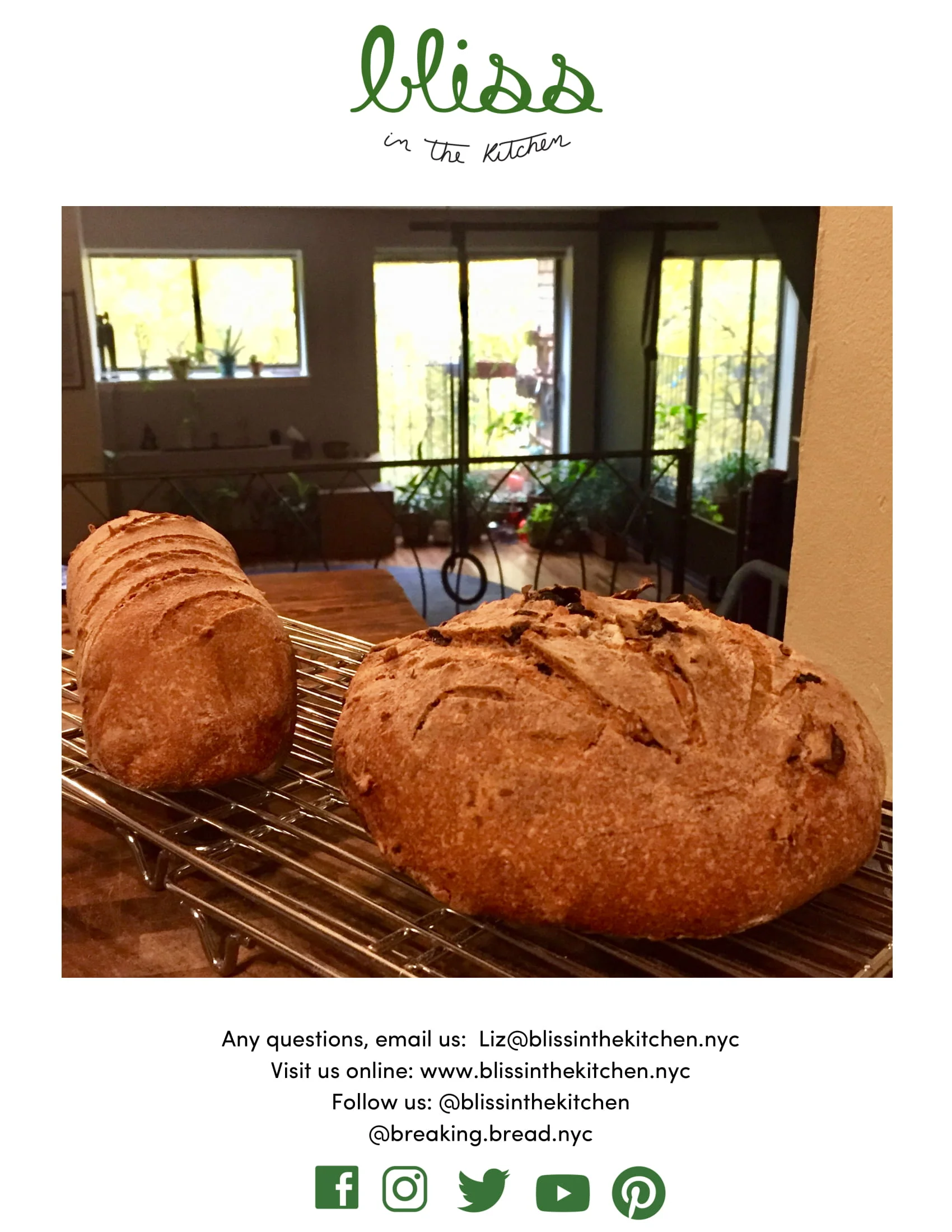 BITK_ Sprouted Sourdough Starter + Bread (2) (1)-6.jpg