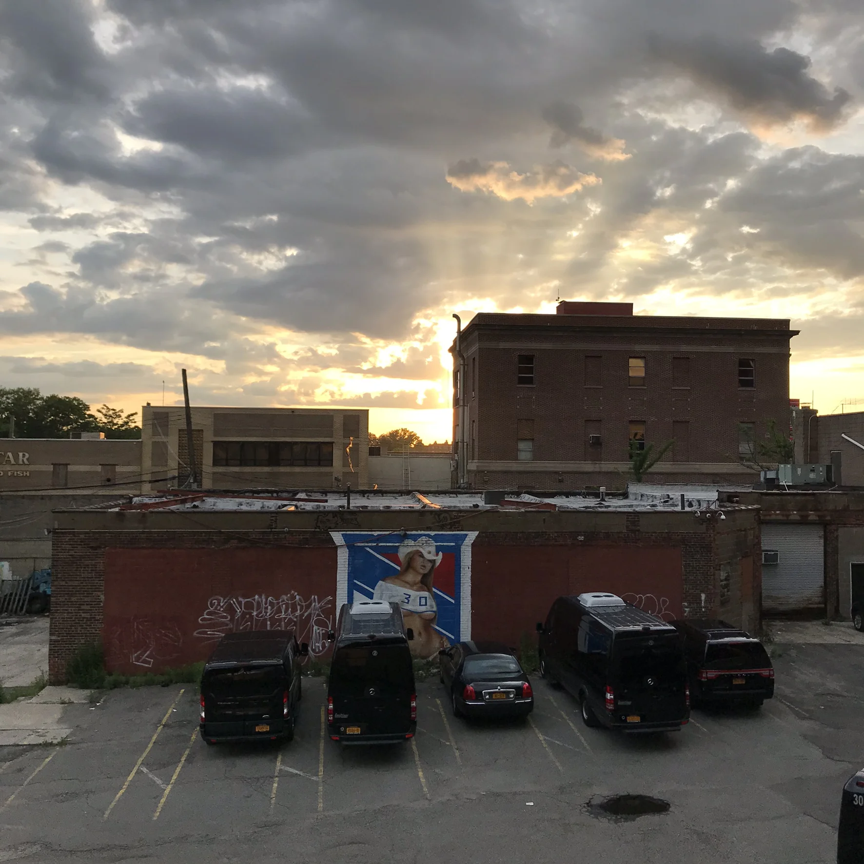IMG_8960.JPEG