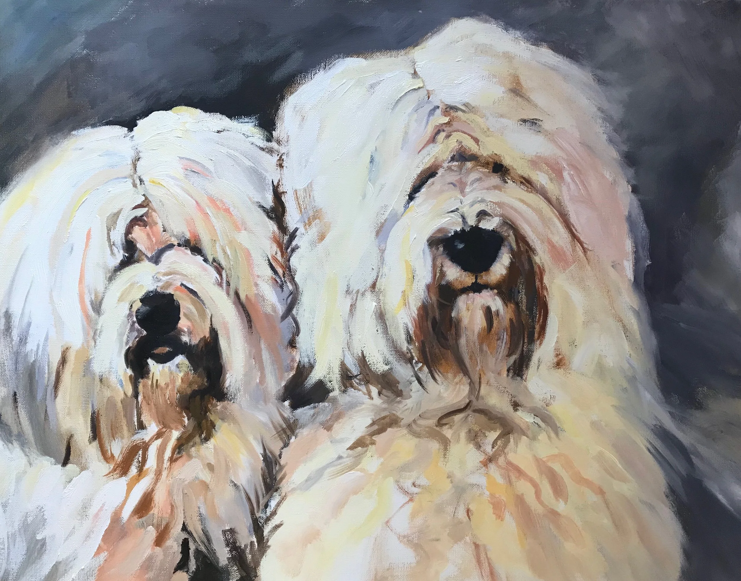 Sakonnet Sheep Dogs.JPG