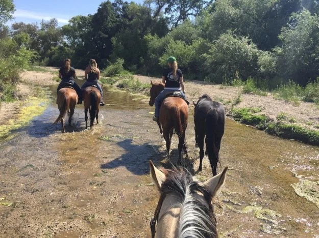 Trailer life after 5:00! A whole lot of trailers + trail rides + cocktails!