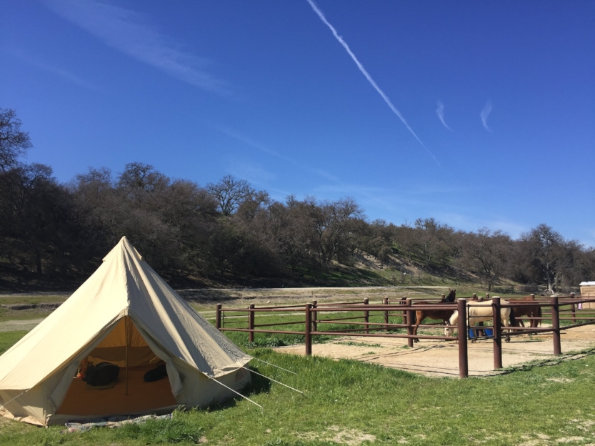Horse camping at Lake San Antonio in the Spring! 