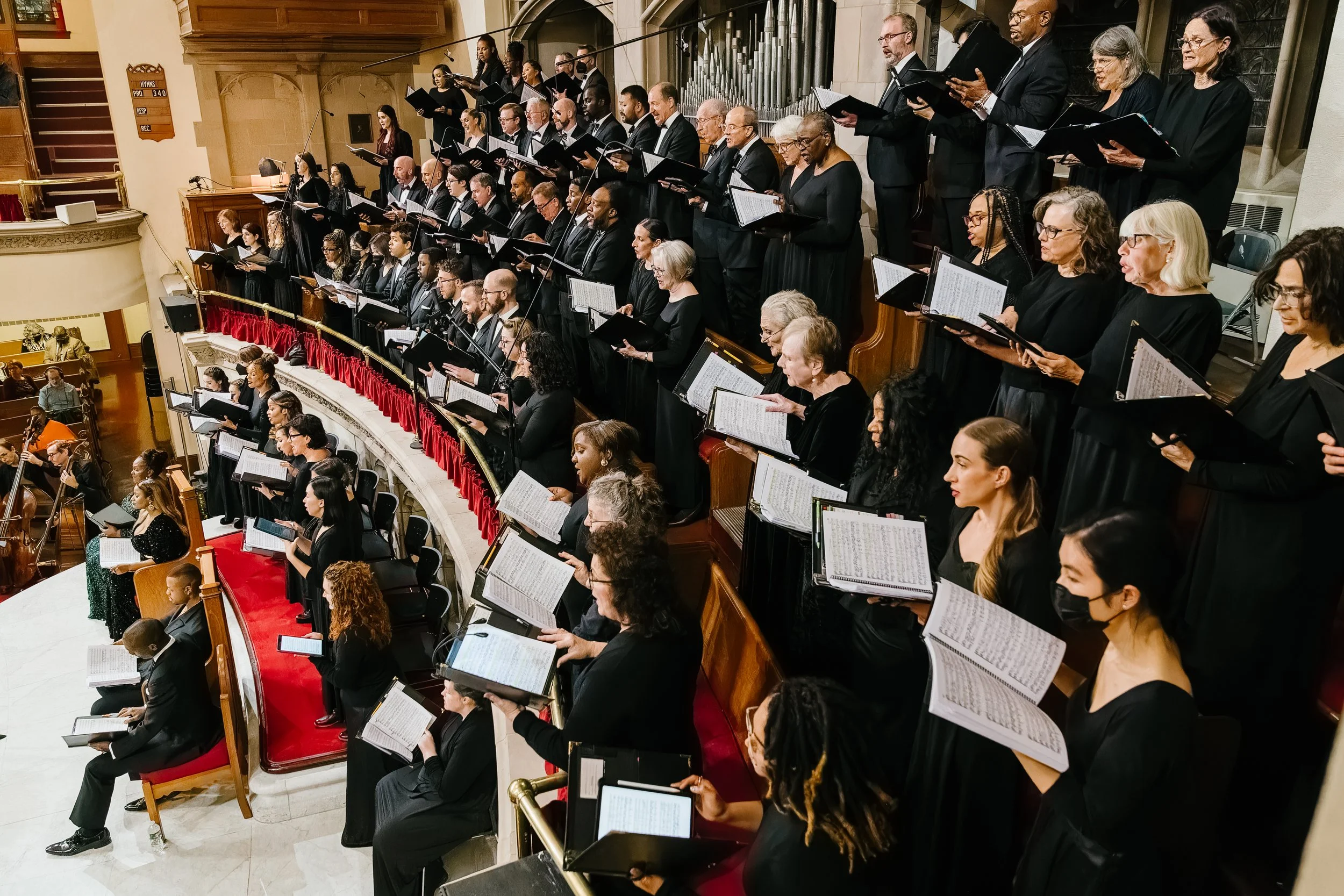 091-DC-Elijah-110223 side.jpeg