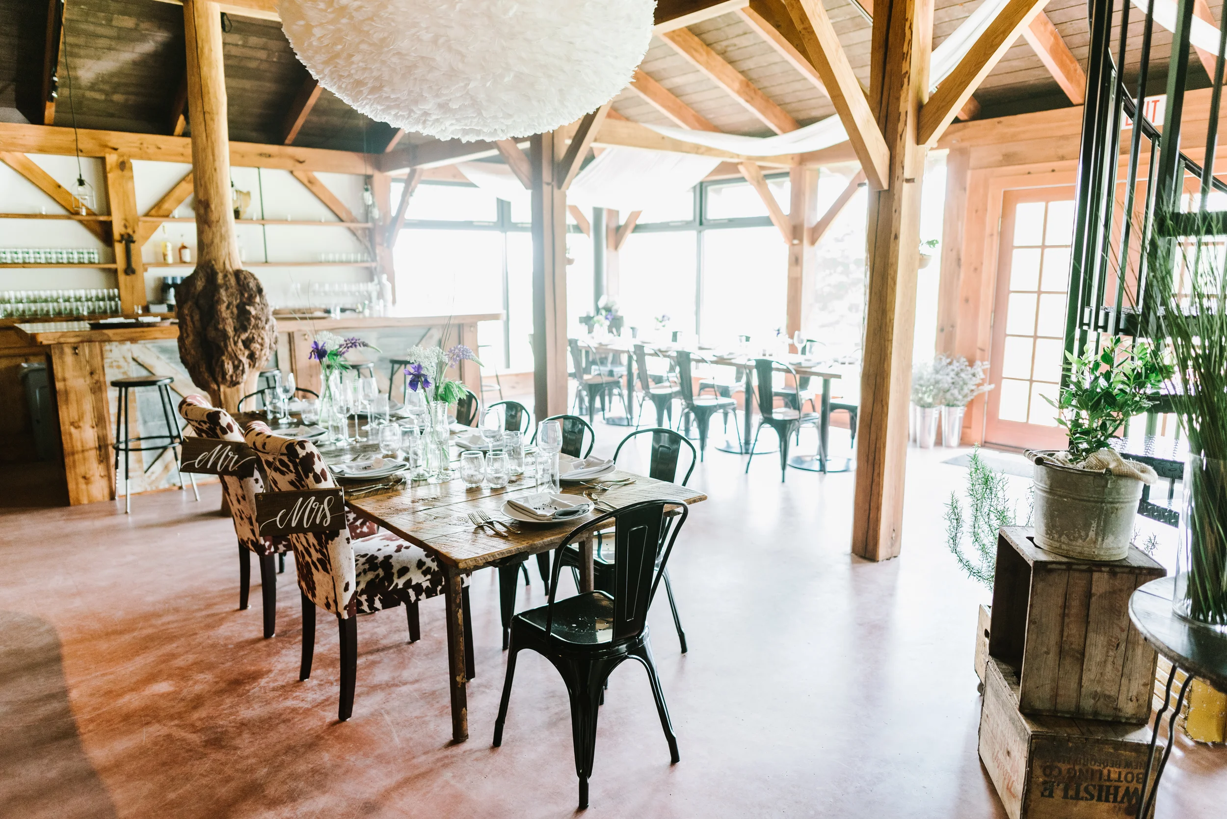 cantina-229-annmarie-swift-photography-10.jpg