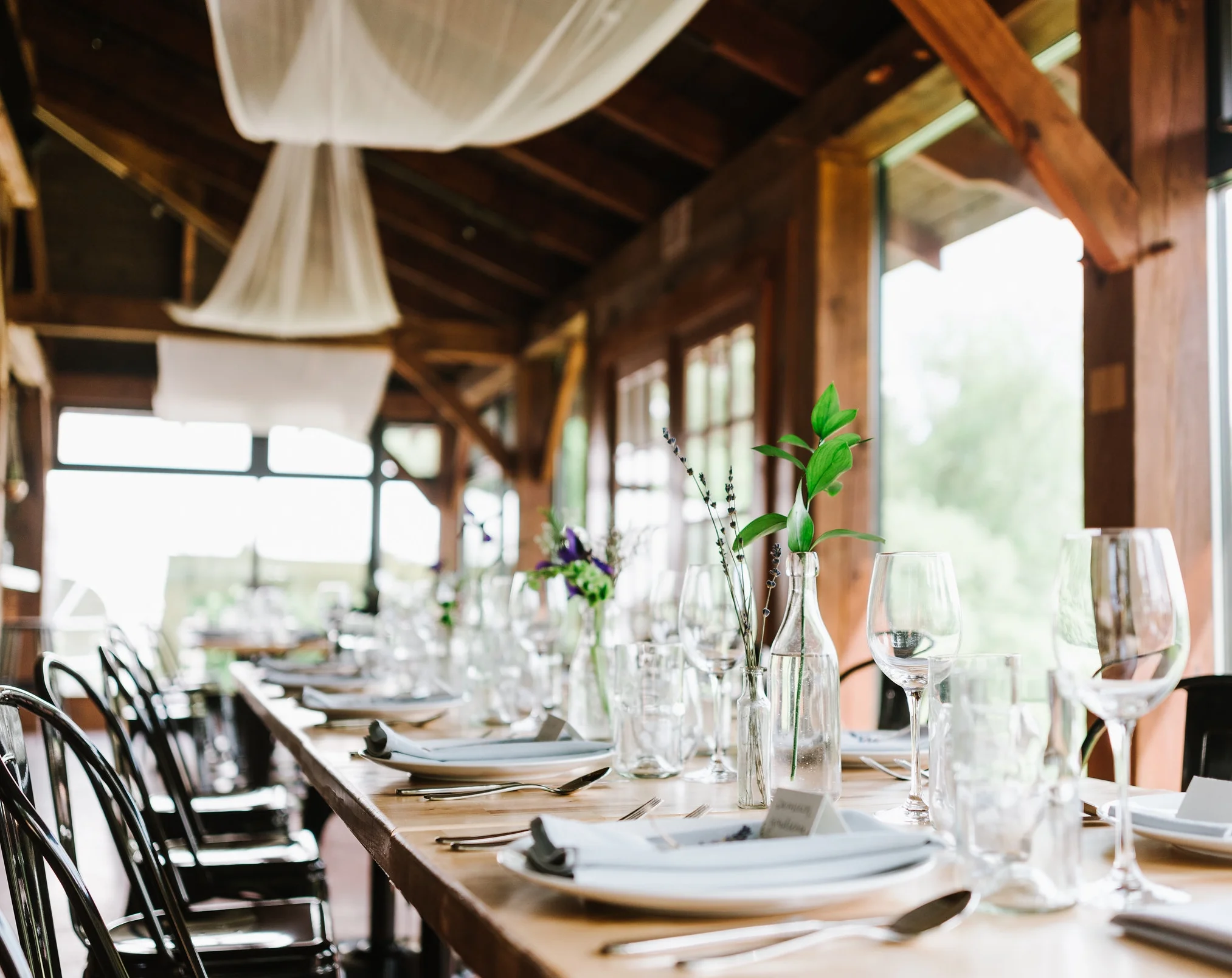 michele-tim-wedding-62.jpg