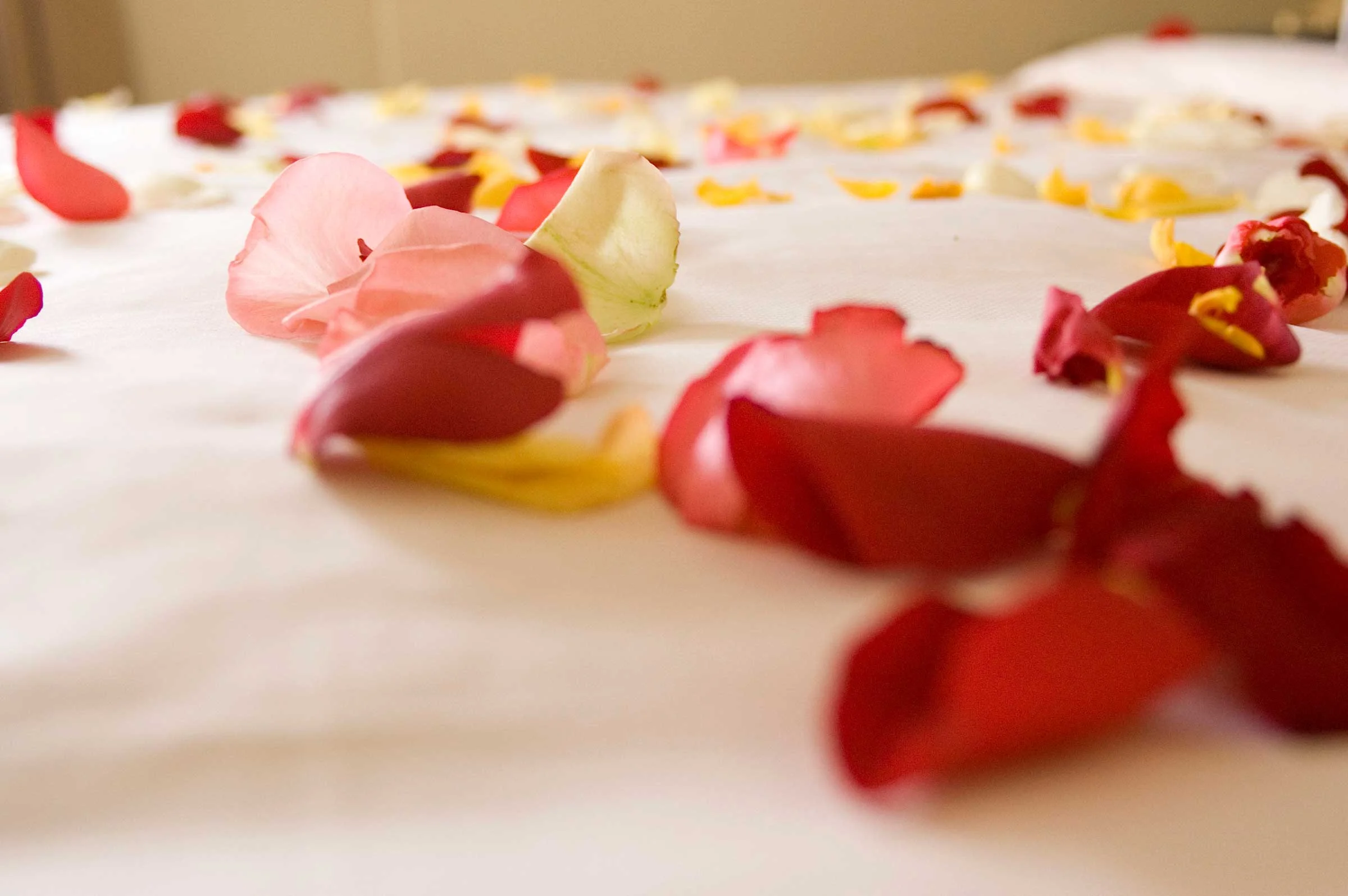 05-creative-romantic-ideas-rose-petals.jpg