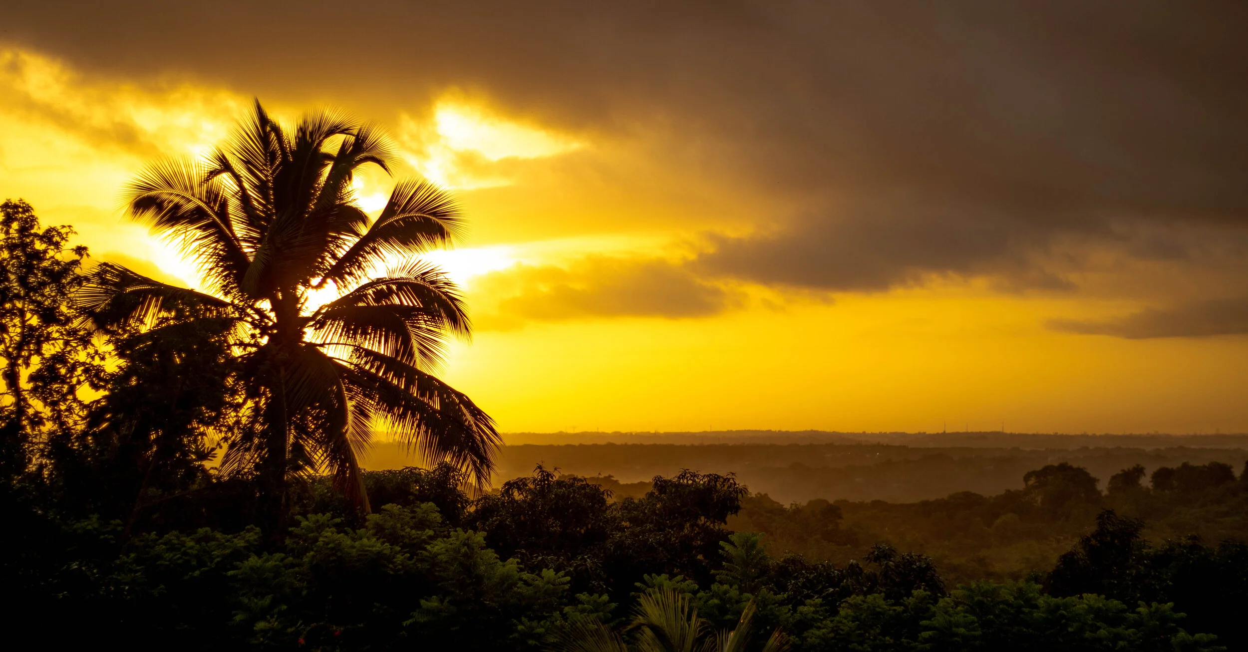 sunset.jpg