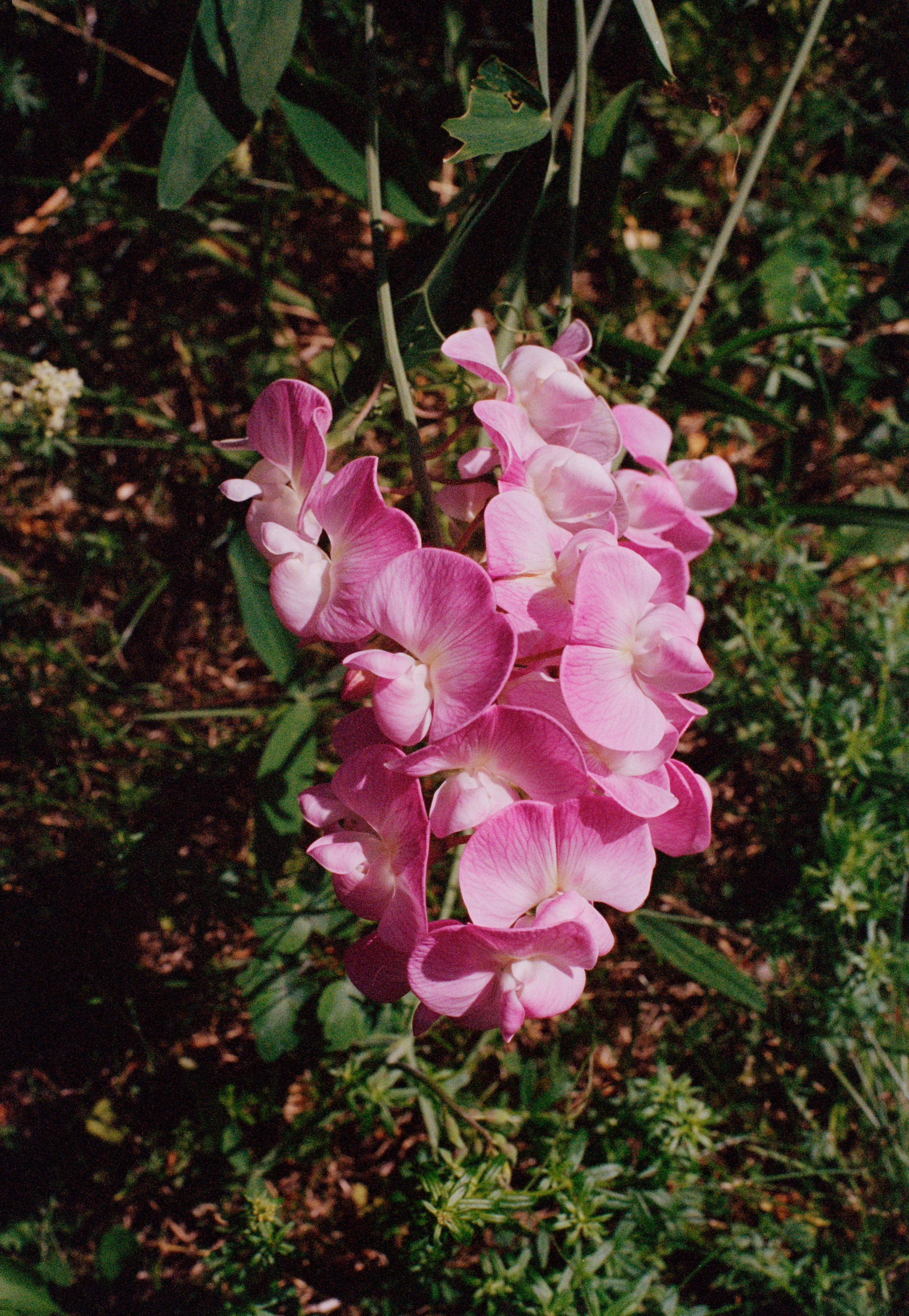 HF_K 034.jpg