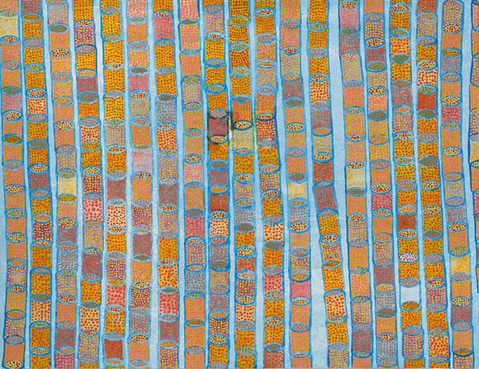 Daily Order mixed media on paper 20 x 26" 2012