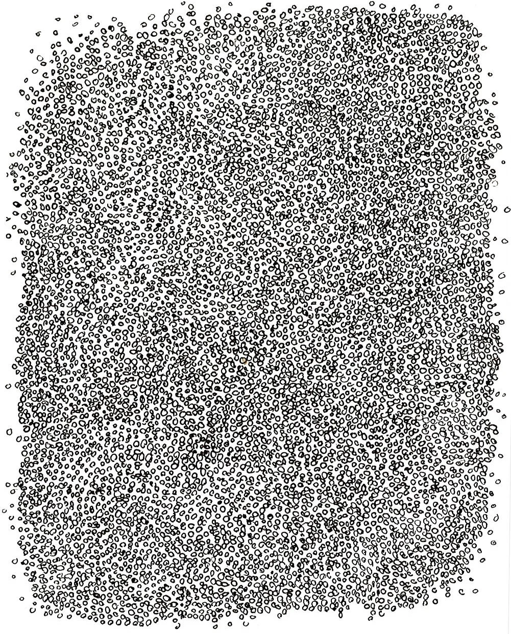 Condo Drawing A marker on paper 6.25 x 5" 2018