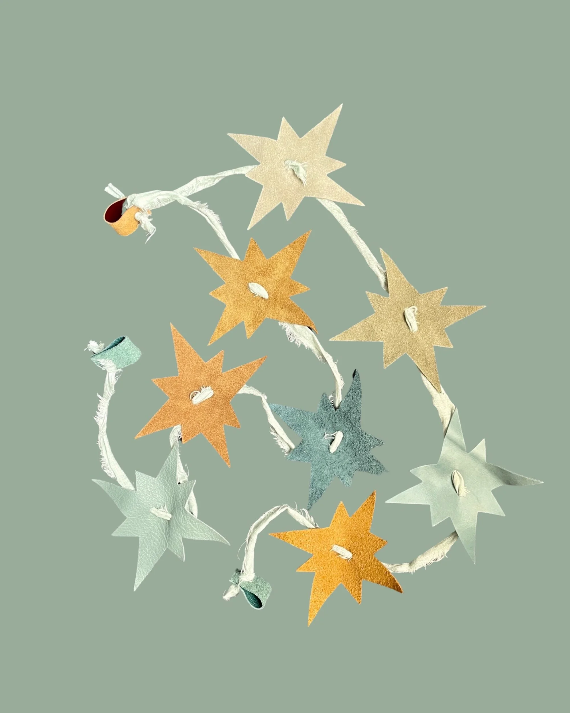 6B6F1FCF-0A20-4F96-8ABA-DF0C7ADC0A56