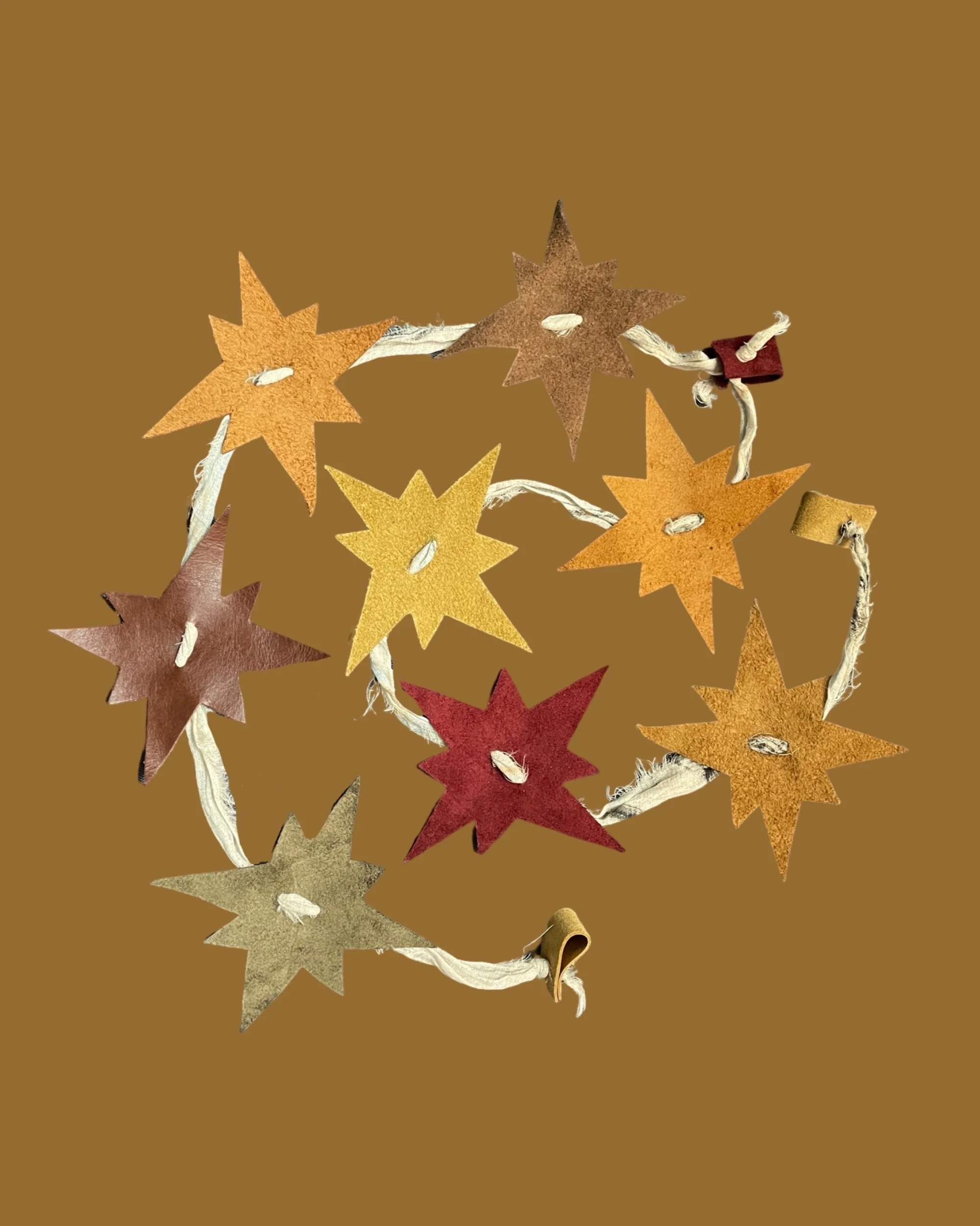 D92B3C13-5E12-41A8-BD1A-048557F554BE