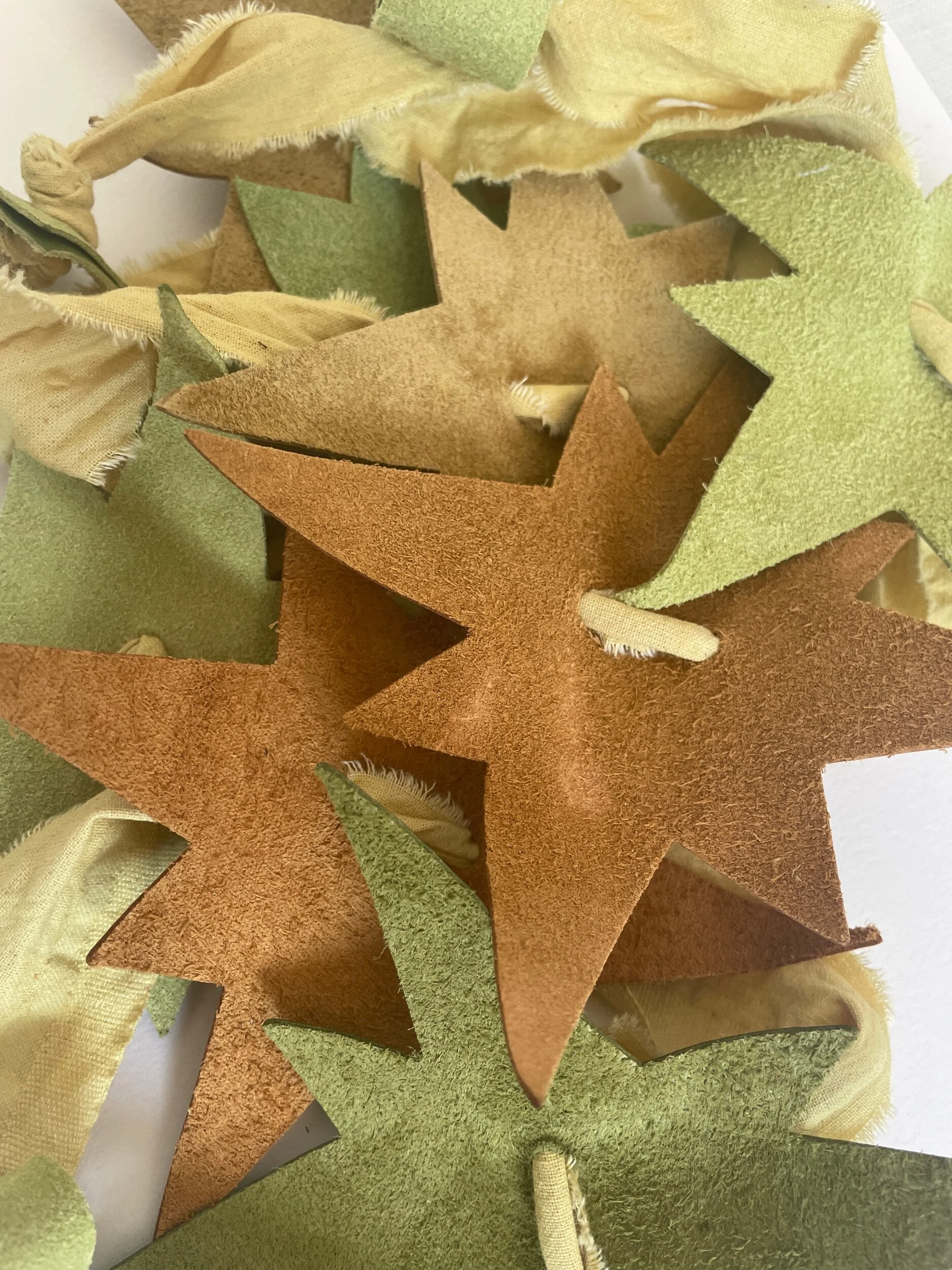 80B35E3B-2961-4066-A62D-D5B27C2426AB