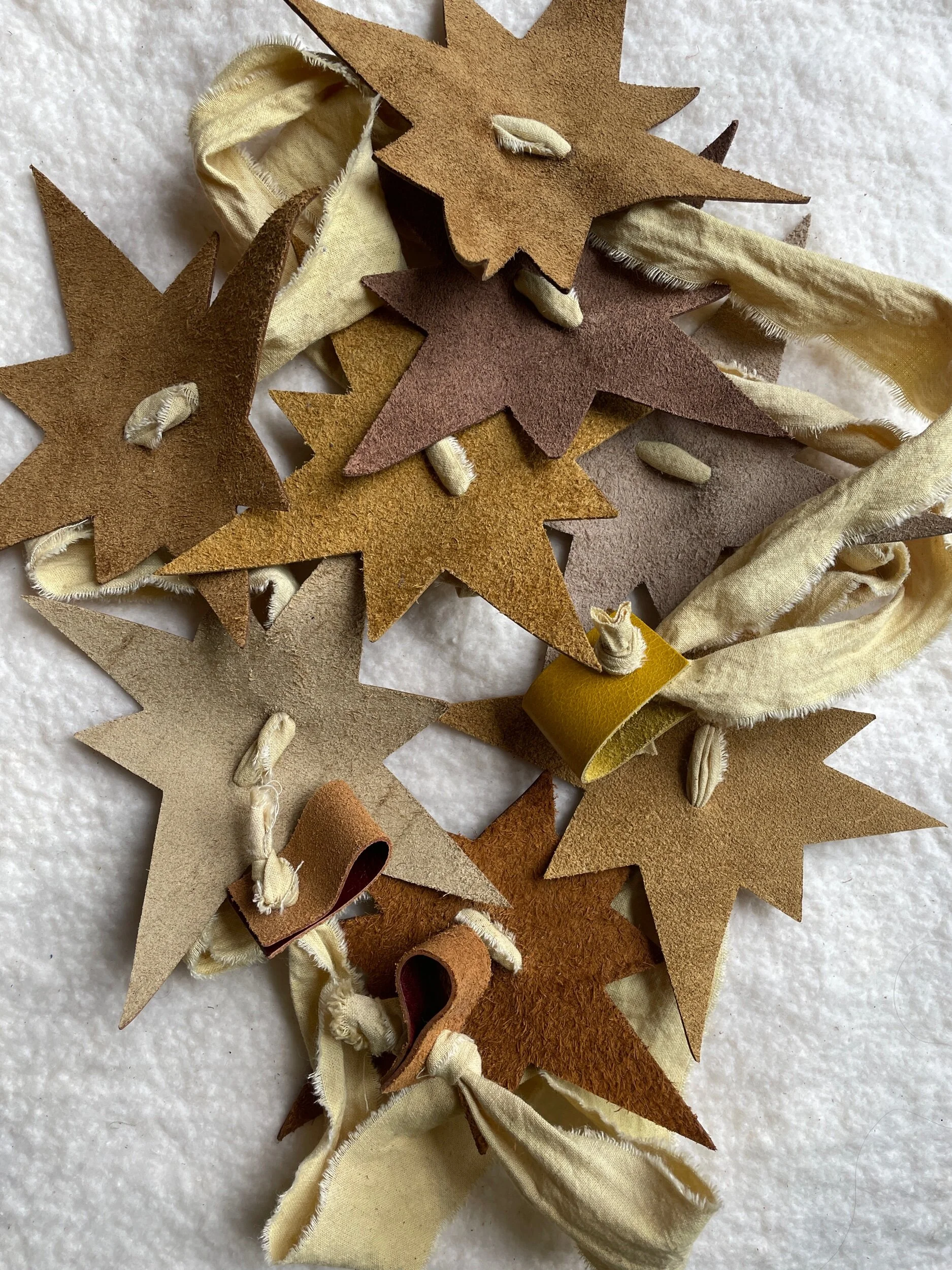 8AE1DBCA-96BC-4E5D-A9BA-8498054FC5DB