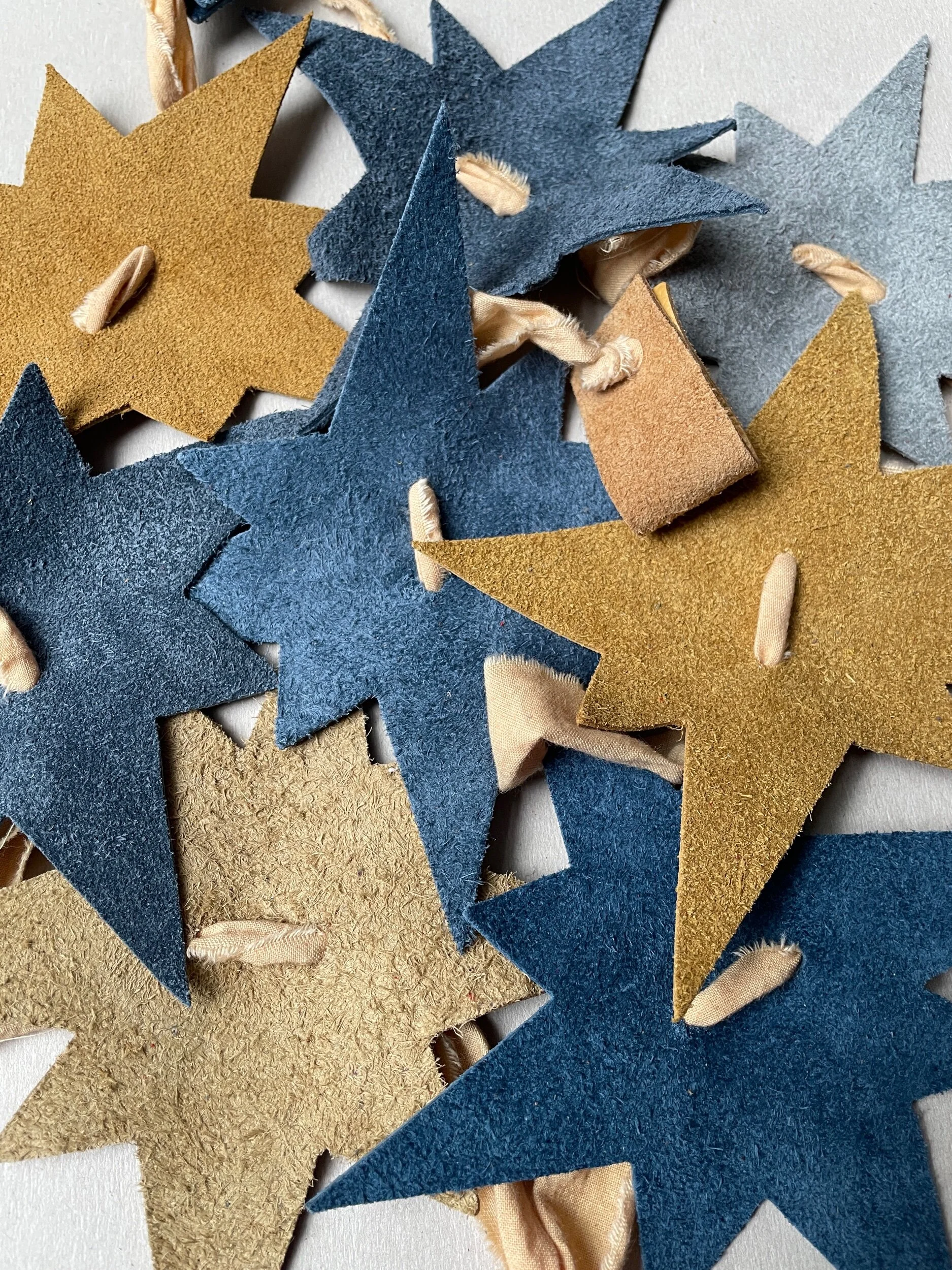 E2B3DD2C-5369-447C-AC24-822AEBF016B4